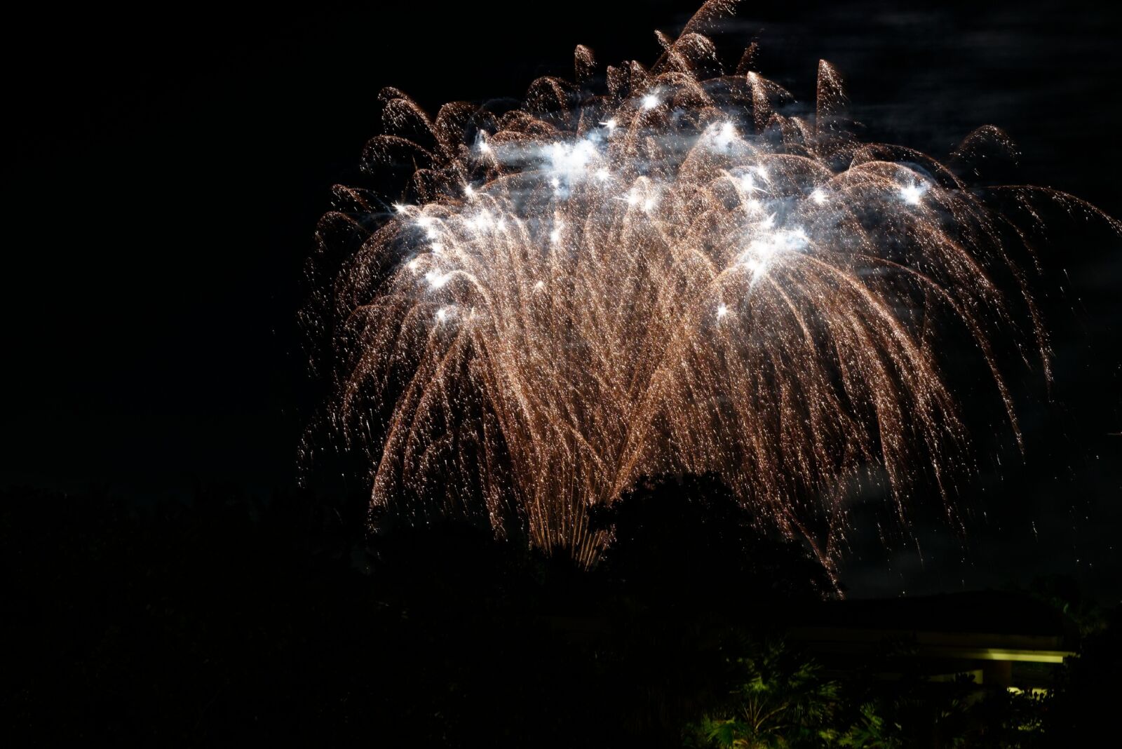 Nikon D810 sample photo. Fireworks, beach, magnificent photography