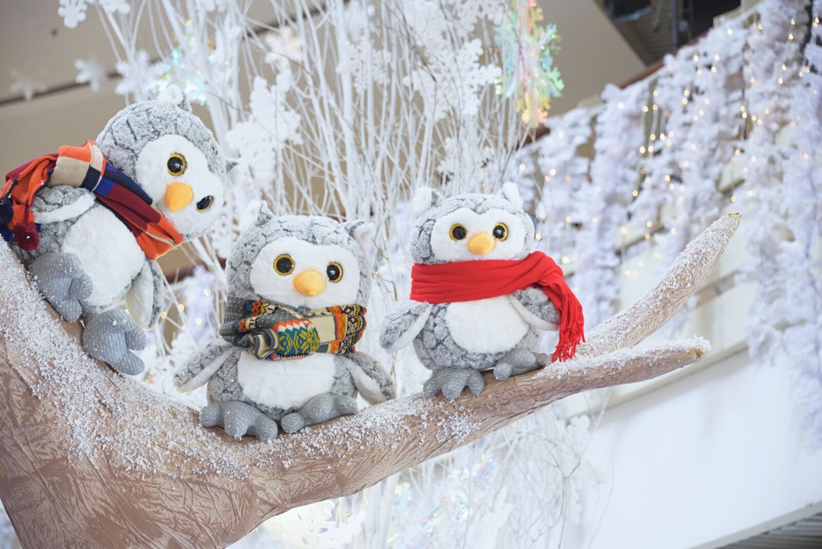 Nikon D750 sample photo. Christmas, x-mas, xmas photography