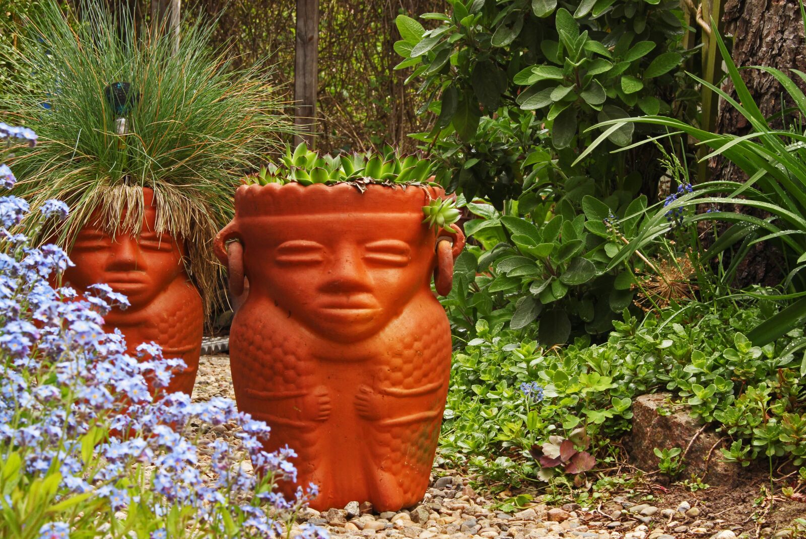 Canon EOS 700D (EOS Rebel T5i / EOS Kiss X7i) sample photo. Terracotta, planting pot, plant photography