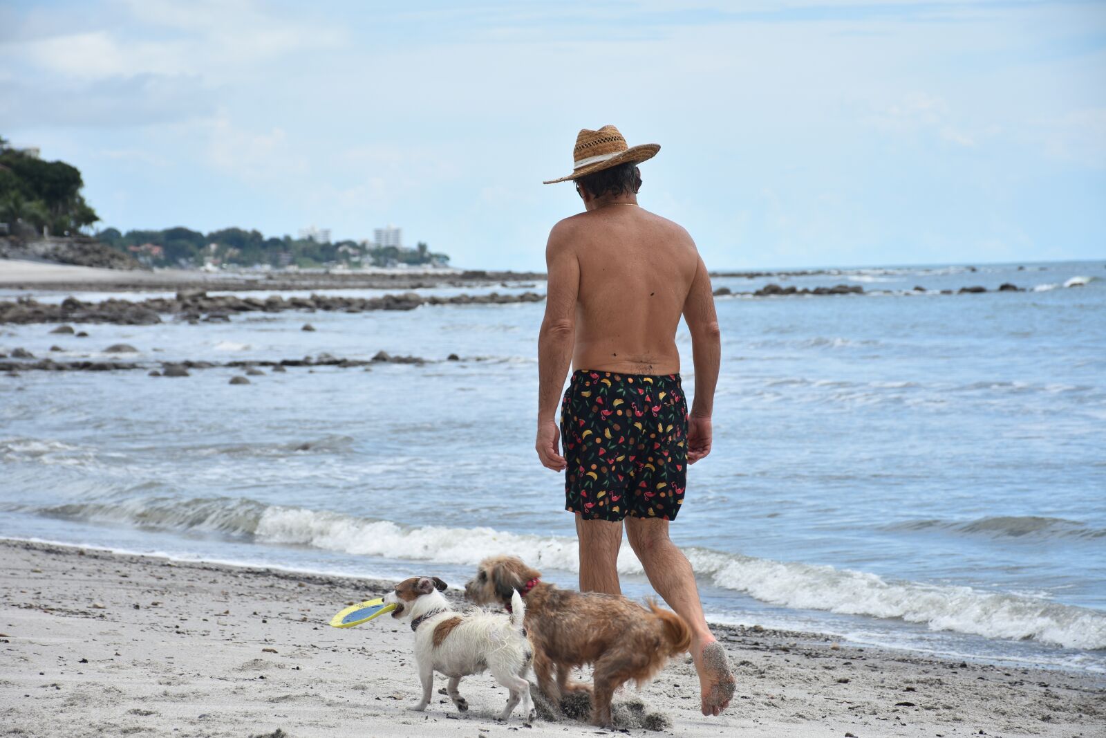 Nikon D7200 sample photo. Beach, path, walk photography