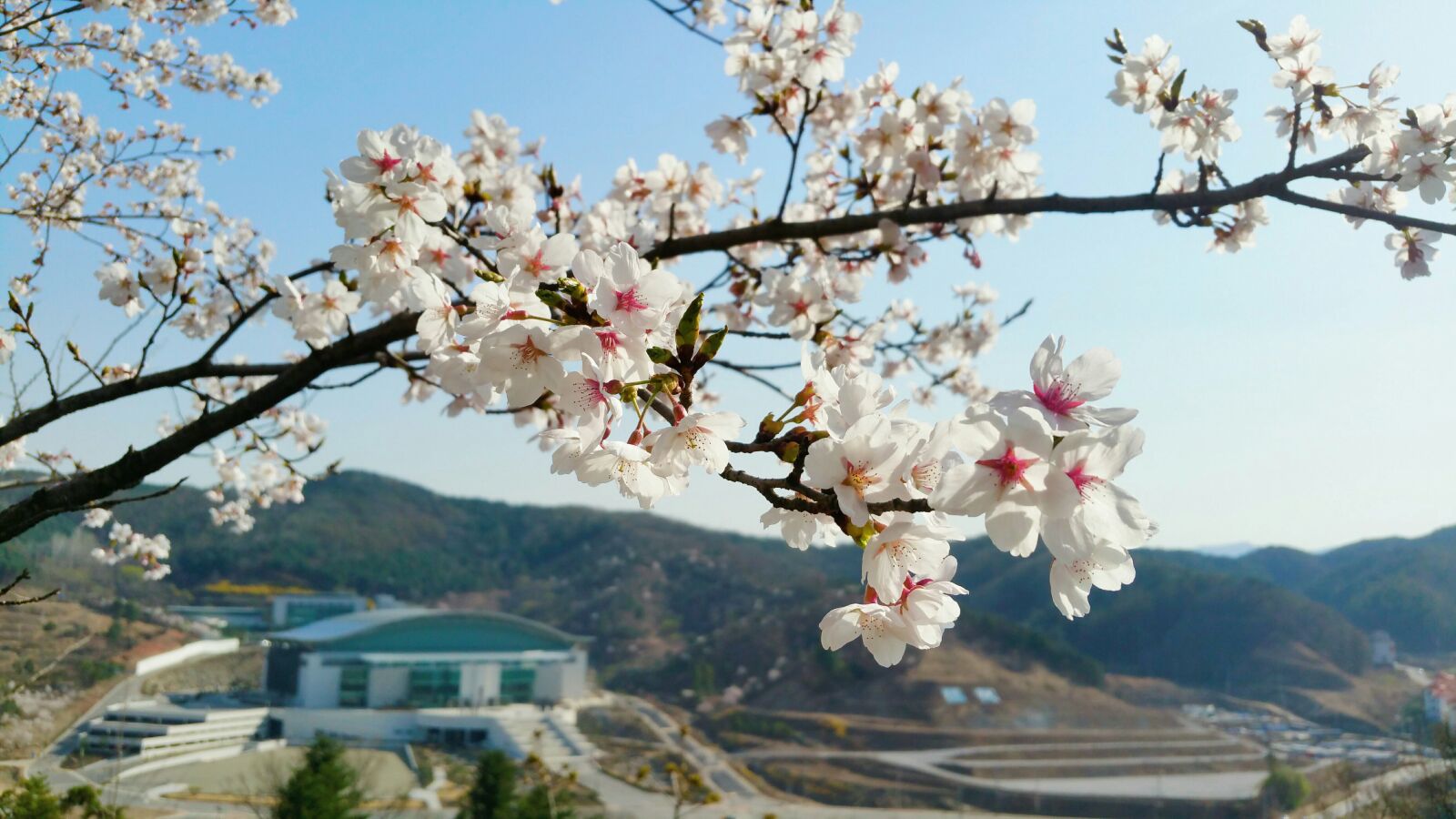 Samsung Galaxy S5 sample photo. Earth, asia, korea photography