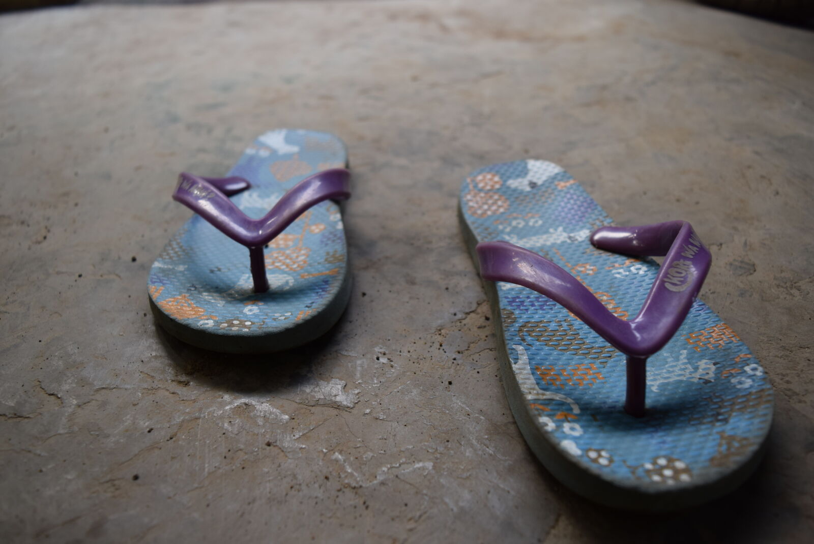 Nikon D3300 sample photo. Low, angle, photography, people photography