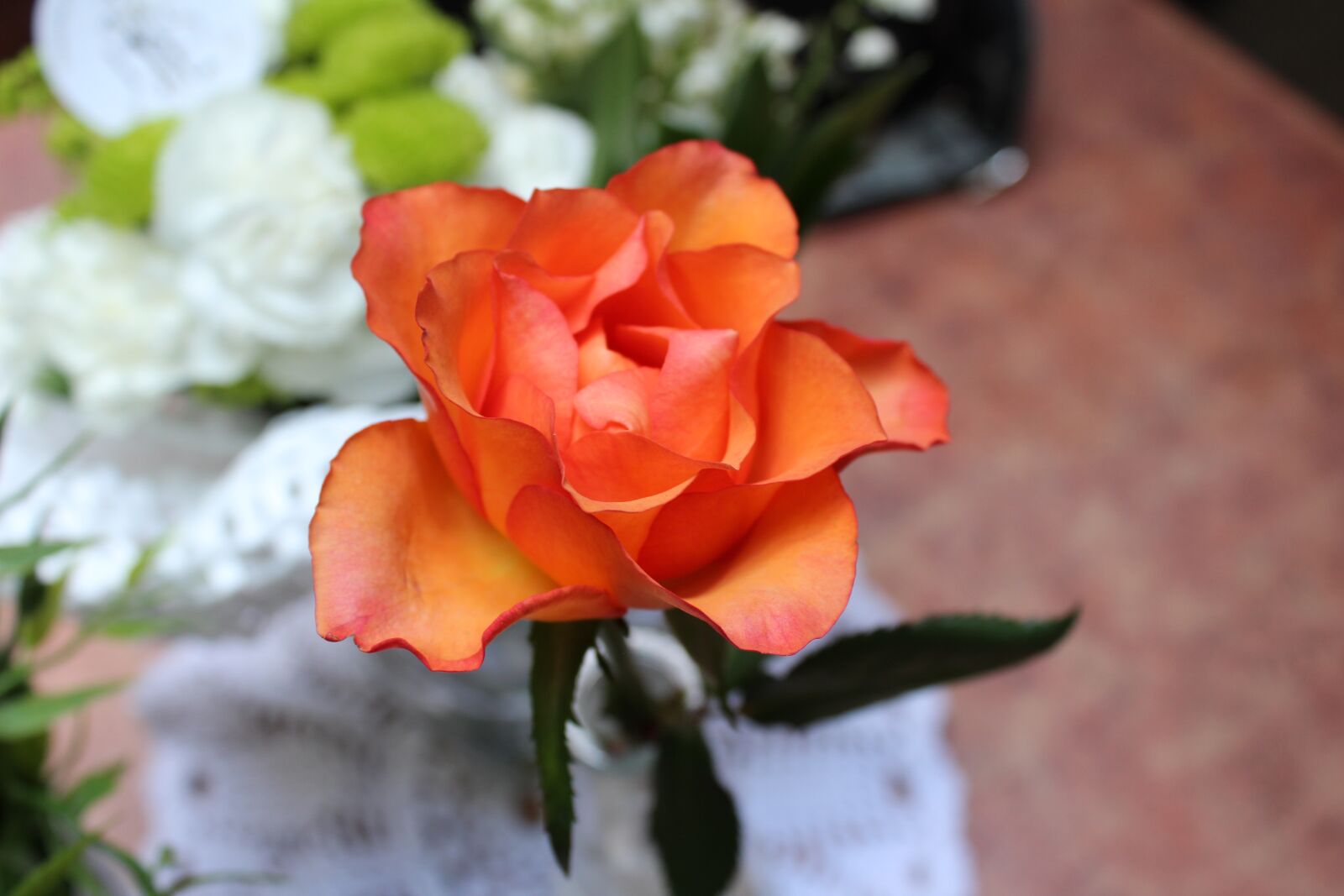 Canon EOS 1300D (EOS Rebel T6 / EOS Kiss X80) sample photo. Rose, the background, flower photography