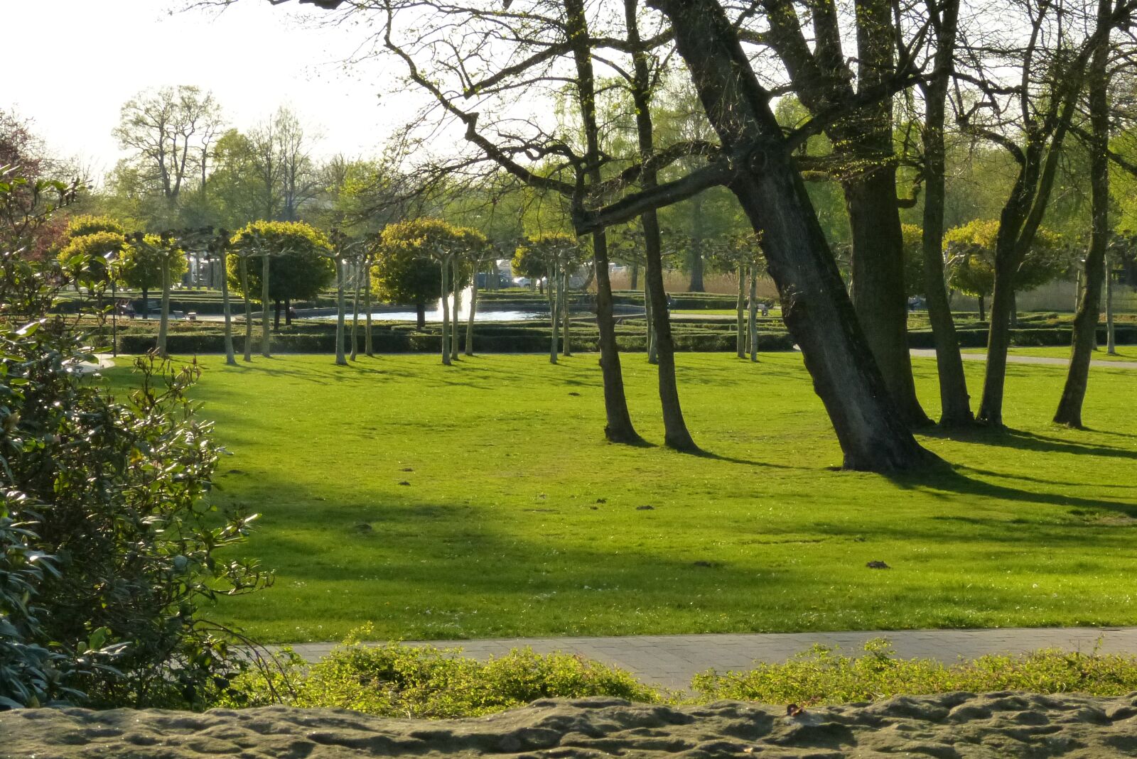 Panasonic Lumix DMC-FZ150 sample photo. Bentheim, county, park photography