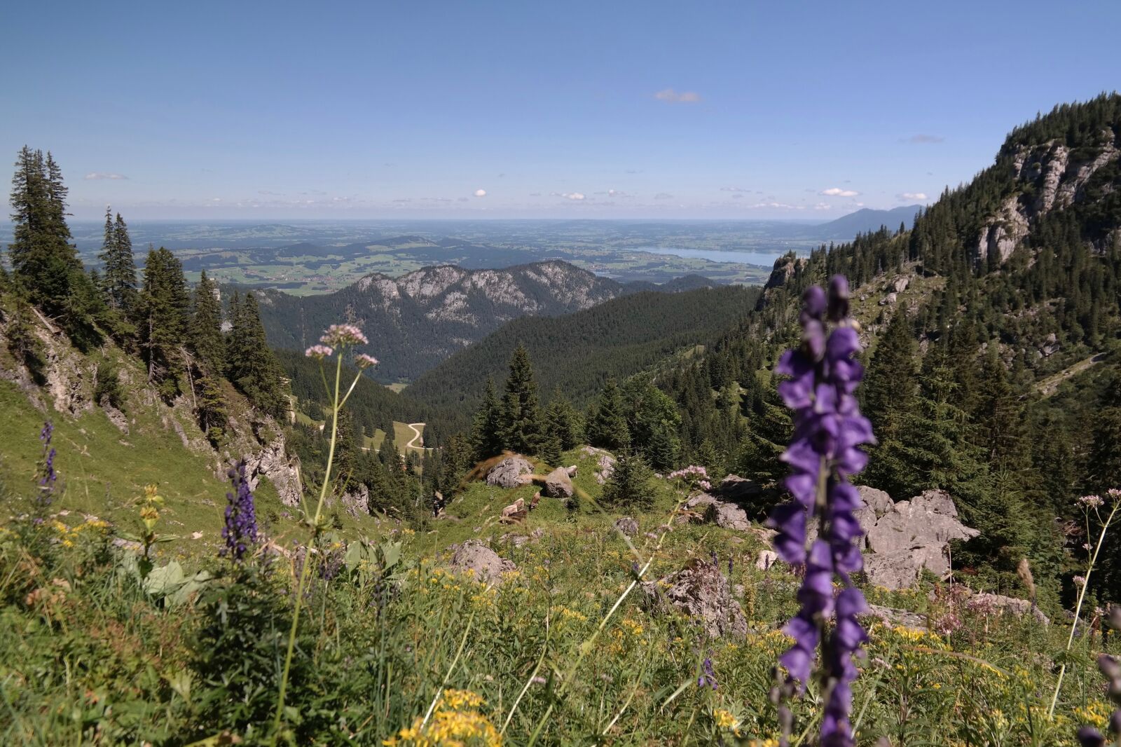 Samsung NX300 sample photo. Mountains, panorama, mountain meadow photography