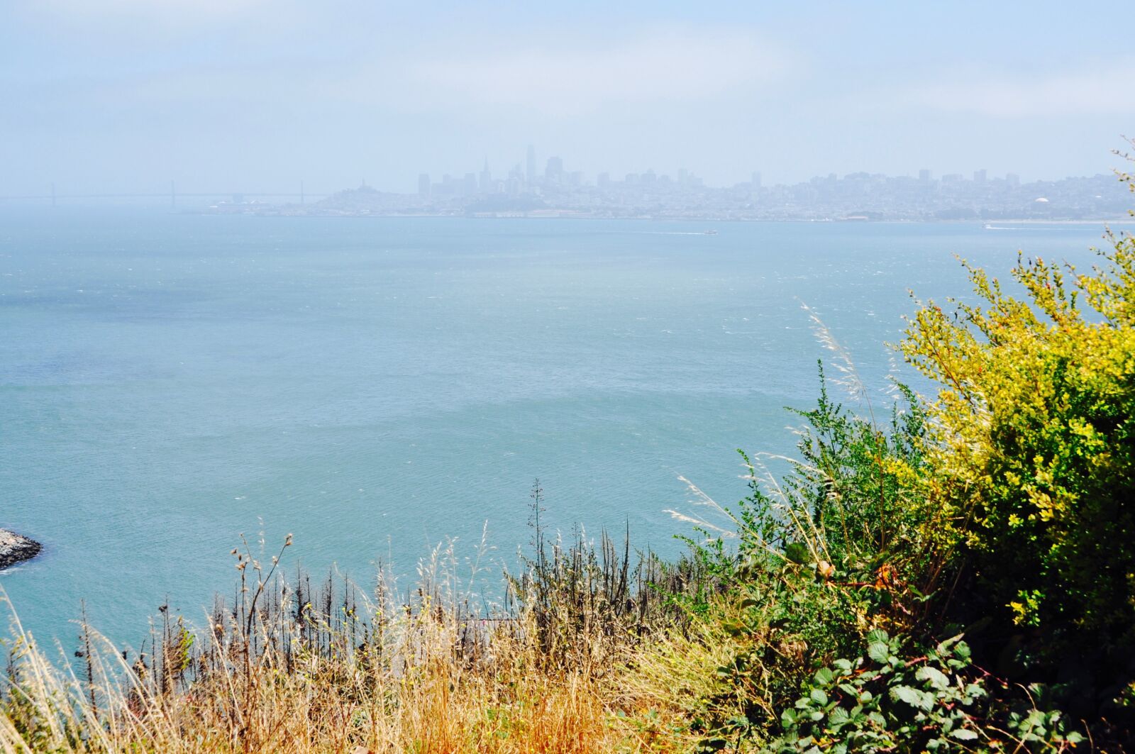 Nikon D5000 sample photo. San francisco, usa, america photography