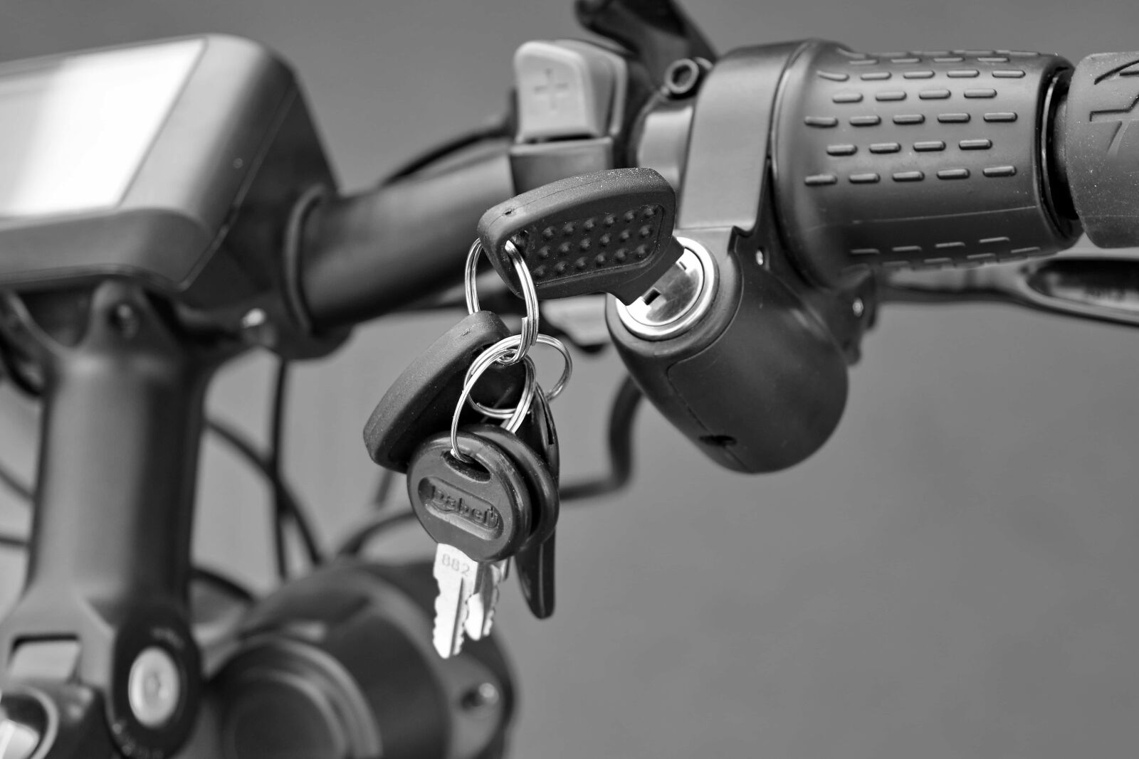 Nikon D5500 sample photo. Black and white, key photography