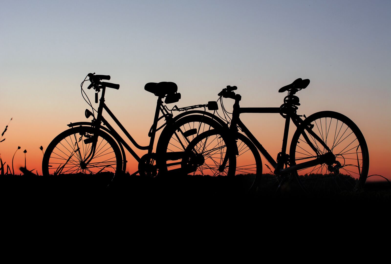 Nikon D5200 sample photo. Bicycles, wheel, sunset photography