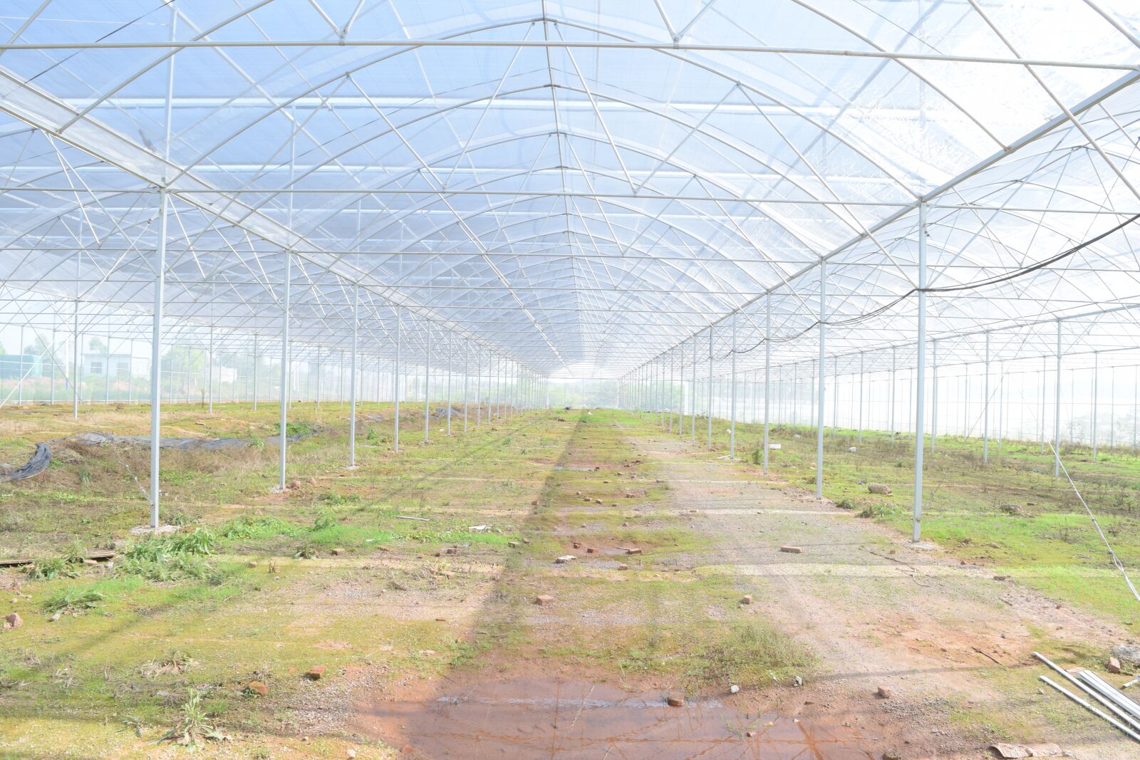 Nikon D5300 sample photo. Greenhouse, planting, building photography