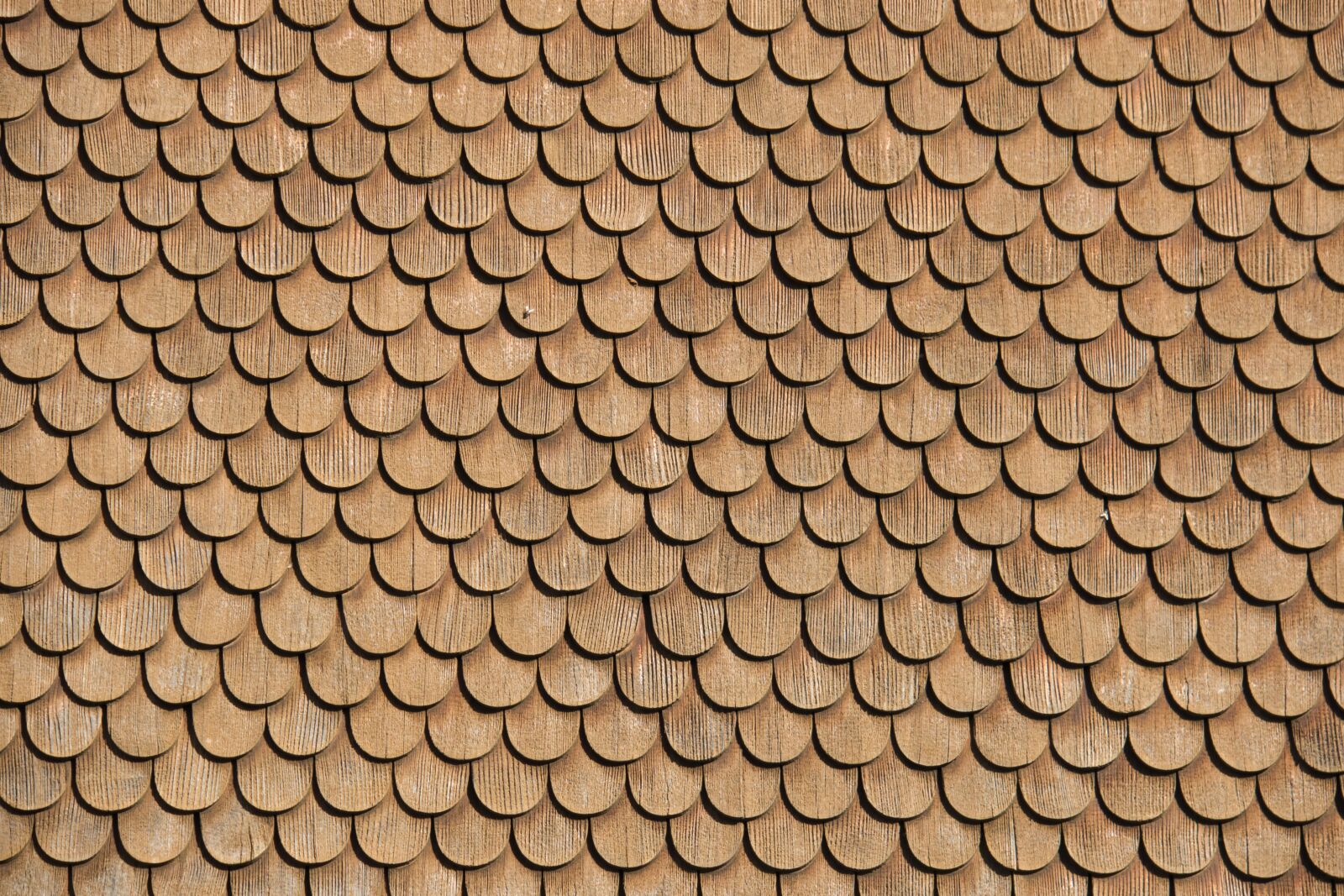 Canon PowerShot G3 X sample photo. Fly, wood shingles, shingle photography