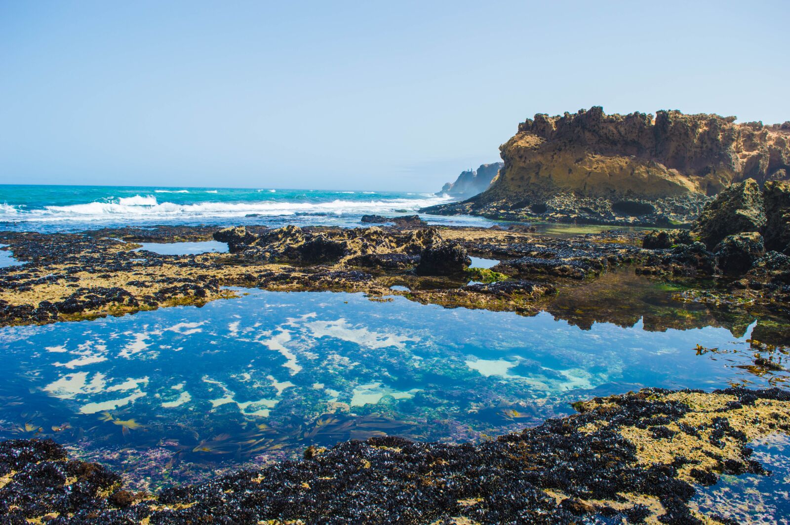Nikon D3200 sample photo. Sea, water, life photography