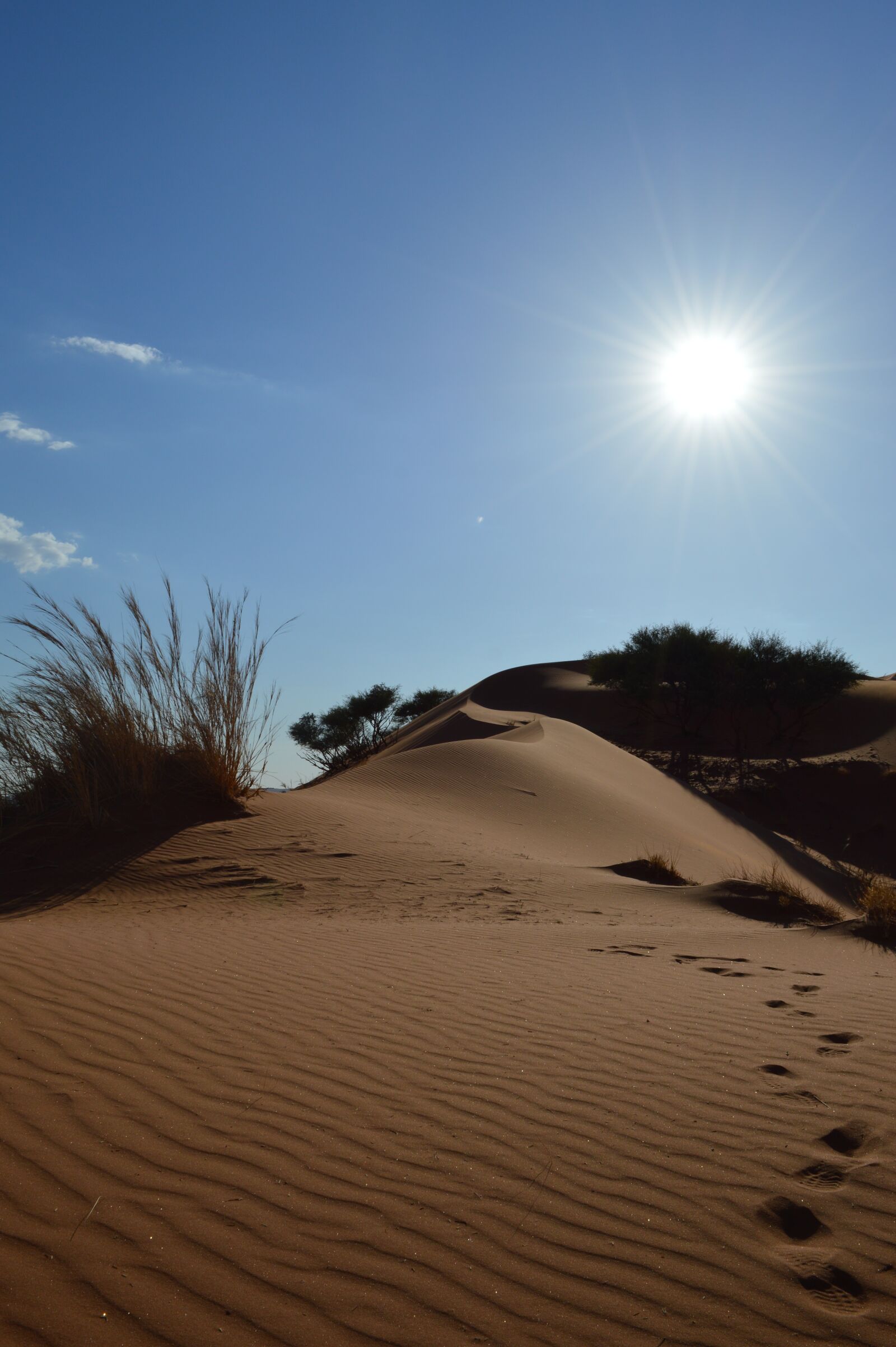 Nikon D3200 sample photo. Desert, tracks in the photography