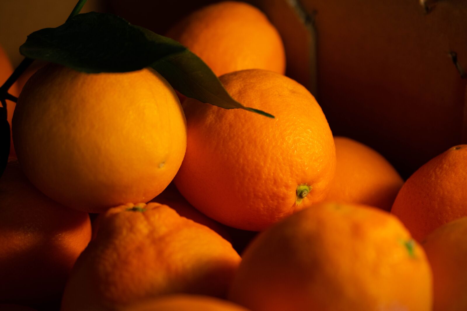 Nikon D3300 sample photo. Orange, fruit, eat photography