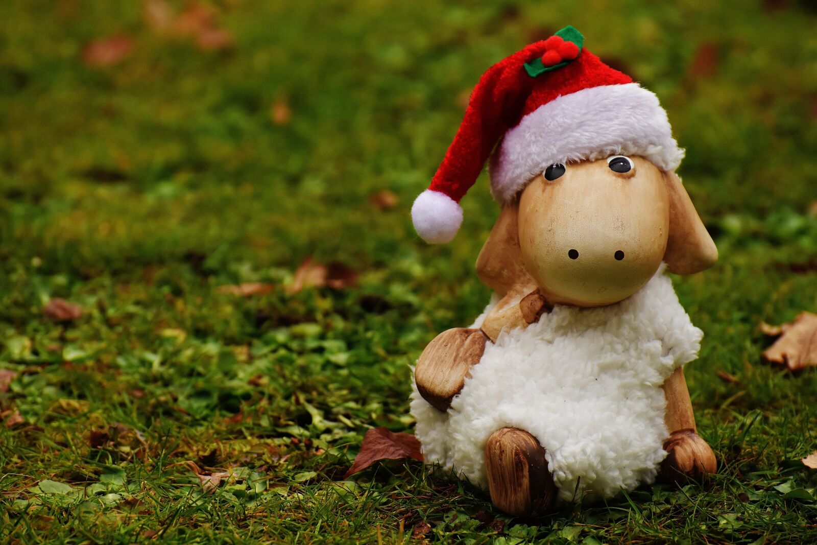 Nikon D7200 sample photo. Christmas, sheep, deco photography