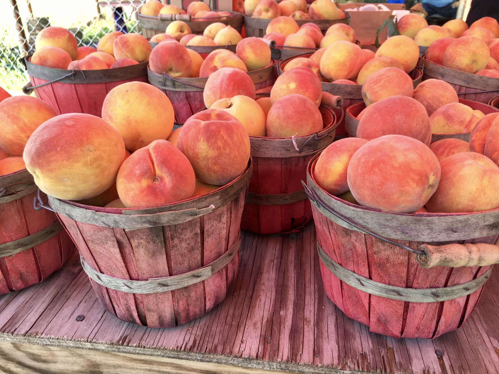 Apple iPhone 6s + iPhone 6s back camera 4.15mm f/2.2 sample photo. Peaches, farmers market, fruits photography