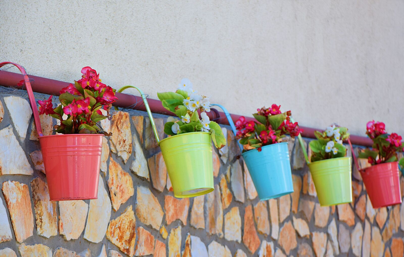 Nikon D3300 sample photo. Tile, flower, pot photography
