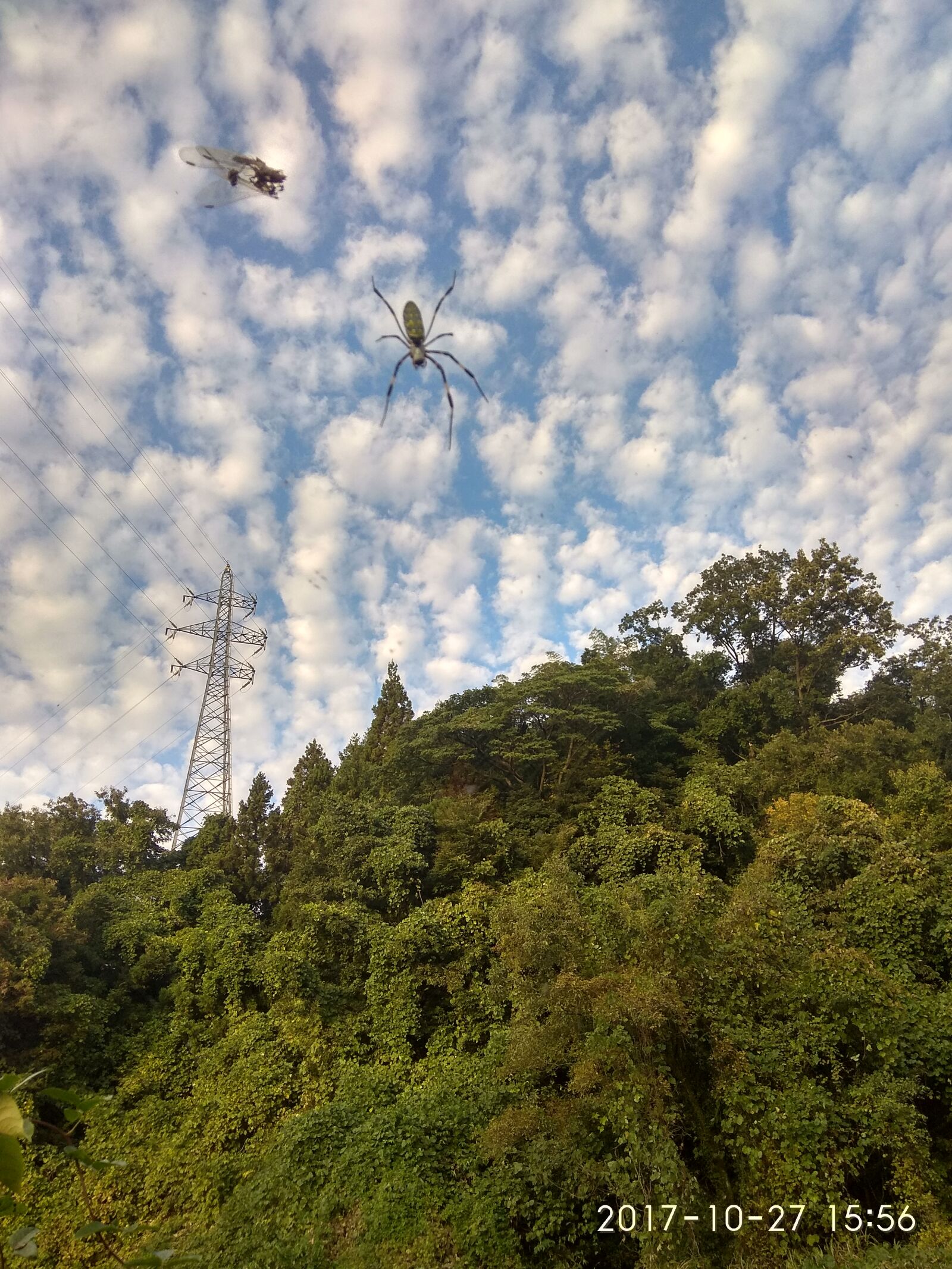 Xiaomi Redmi Note 4 sample photo