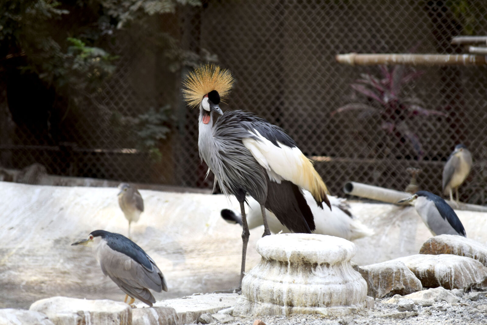 Nikon D3300 sample photo