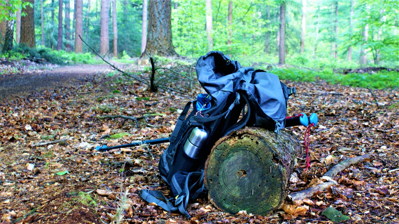 Sony Alpha DSLR-A350 sample photo. Hiking, bag, forest photography