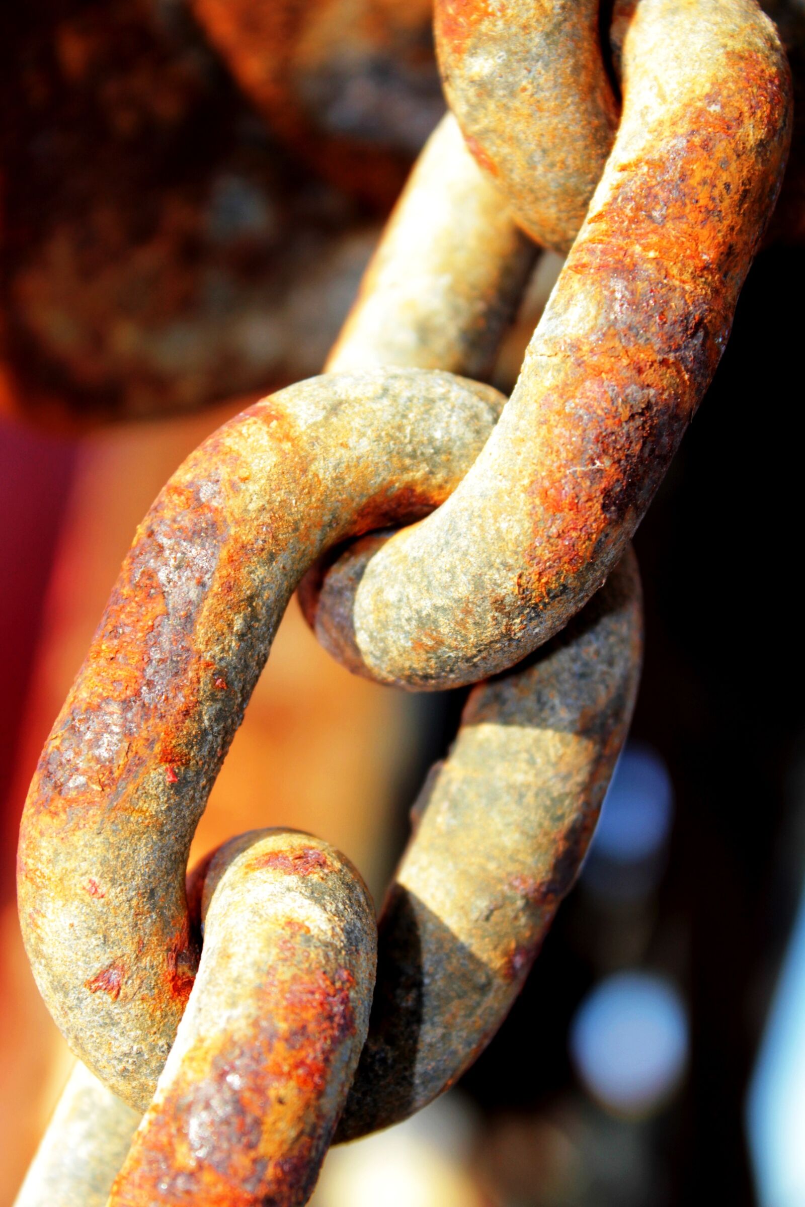 Canon EOS 550D (EOS Rebel T2i / EOS Kiss X4) sample photo. Rust, chain, old photography