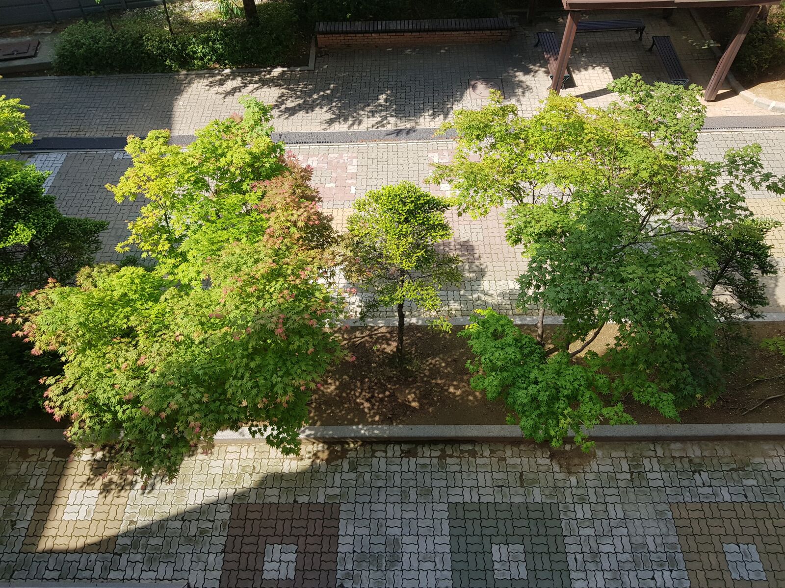 Samsung Galaxy S8+ sample photo. Park, trees, green photography