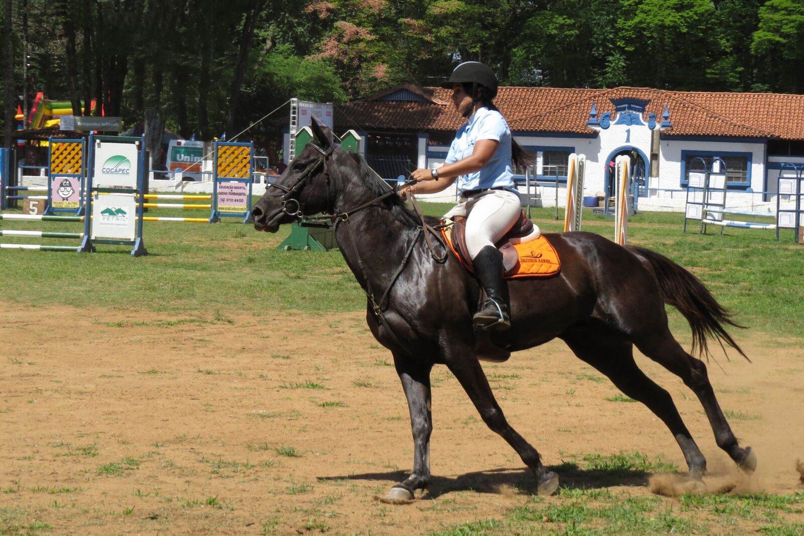 Canon PowerShot SX50 HS sample photo. Horse, the ride, equestrianism photography