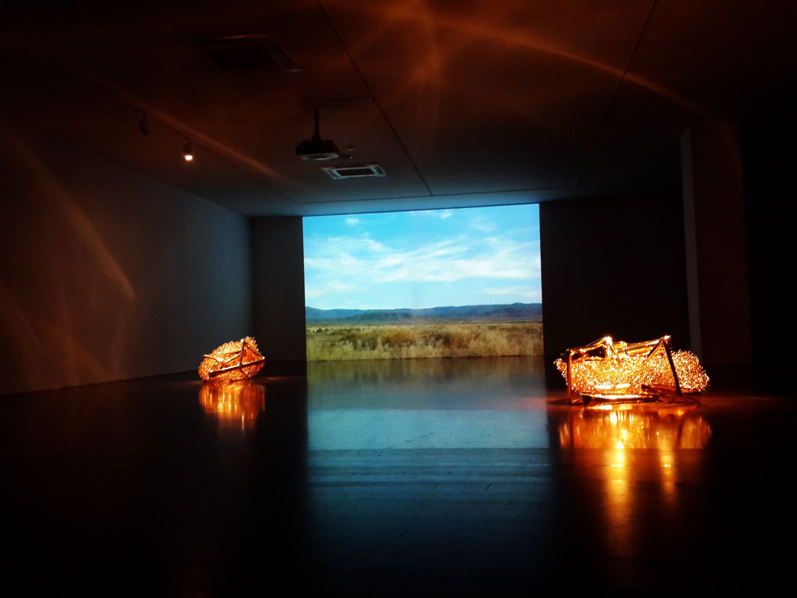 Samsung Galaxy S4 sample photo. Exhibition, international gallery photography