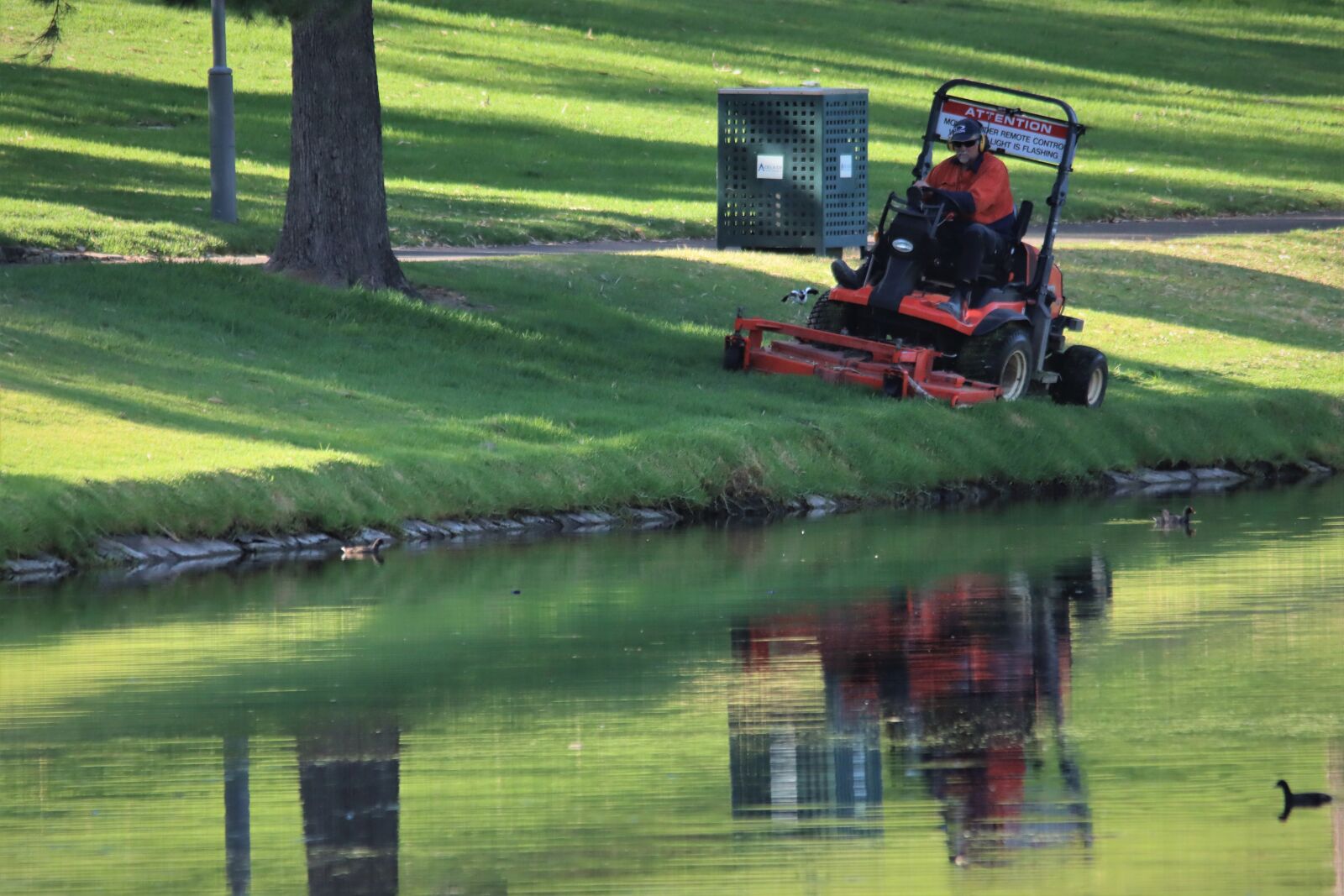 Canon EOS 90D sample photo. Orange, ride on, lawn photography