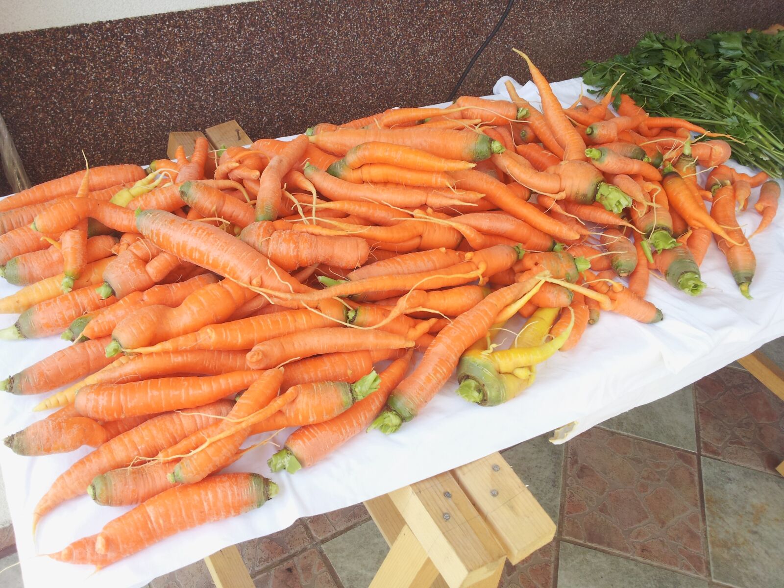 Samsung Galaxy S2 sample photo. R pasz ret, vegetables photography