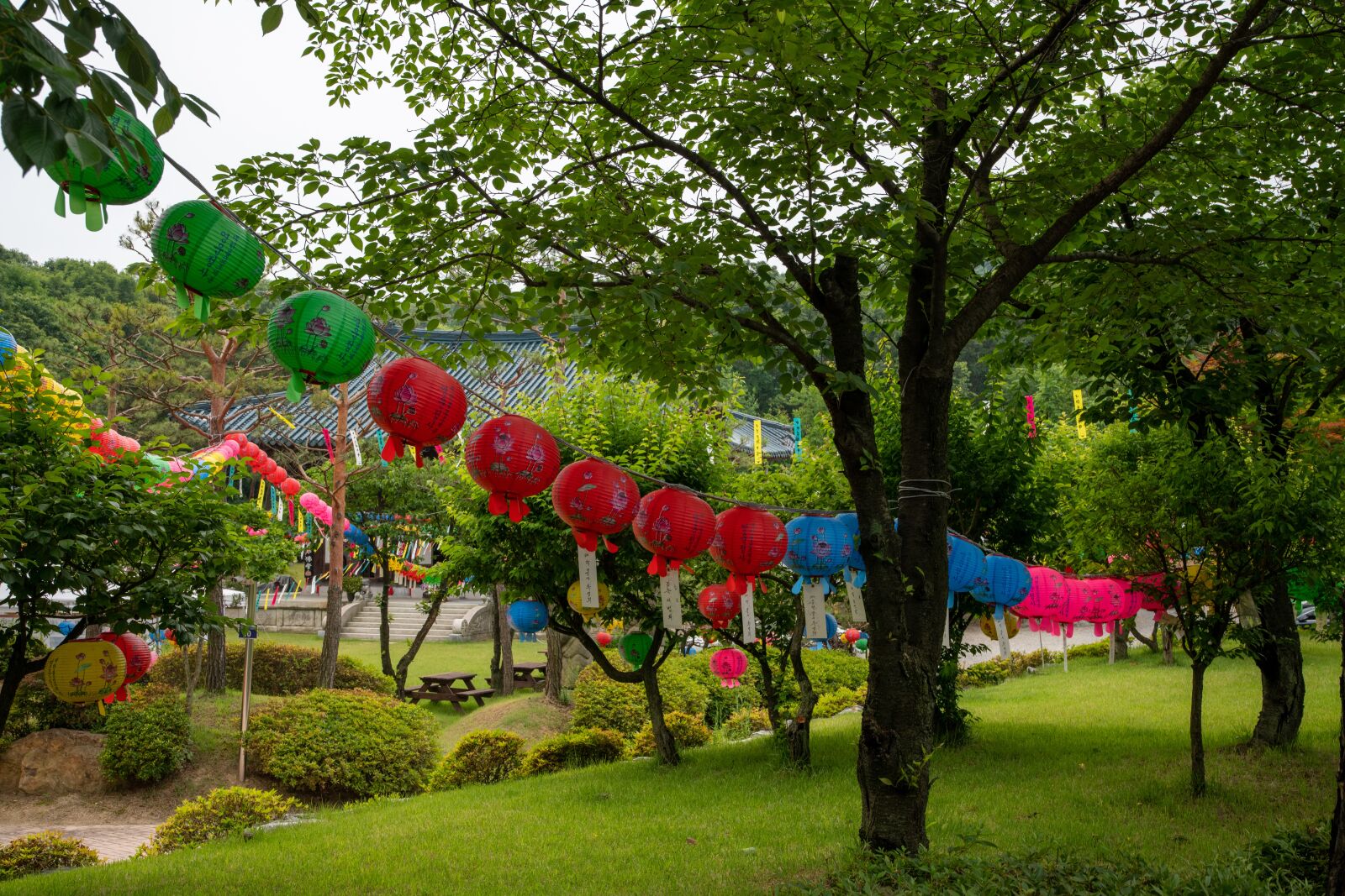 Nikon D850 sample photo. Buddhism, buddha's birthday, lantern photography