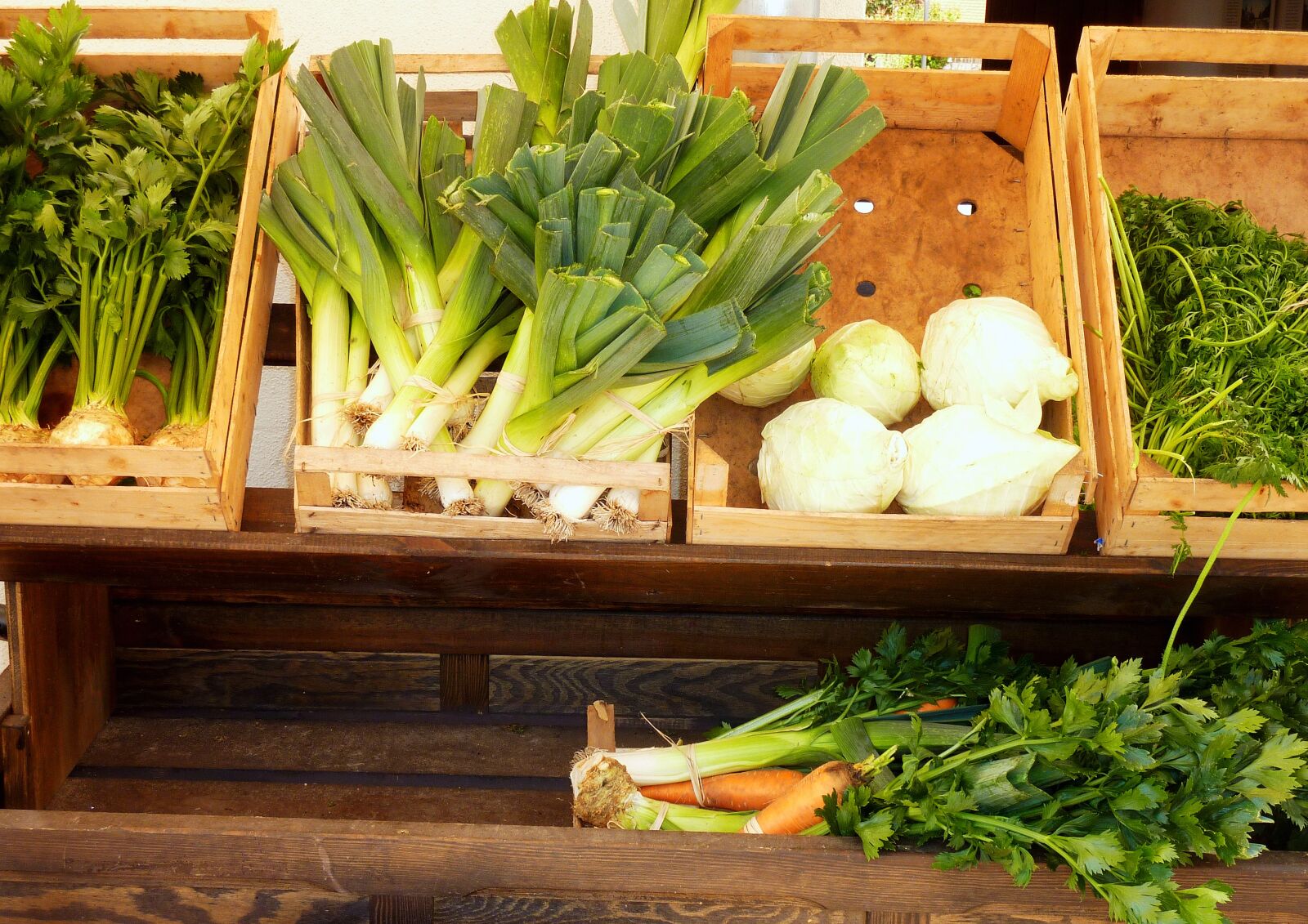 Panasonic DMC-TZ7 sample photo. Vegetables, celery, kohl photography