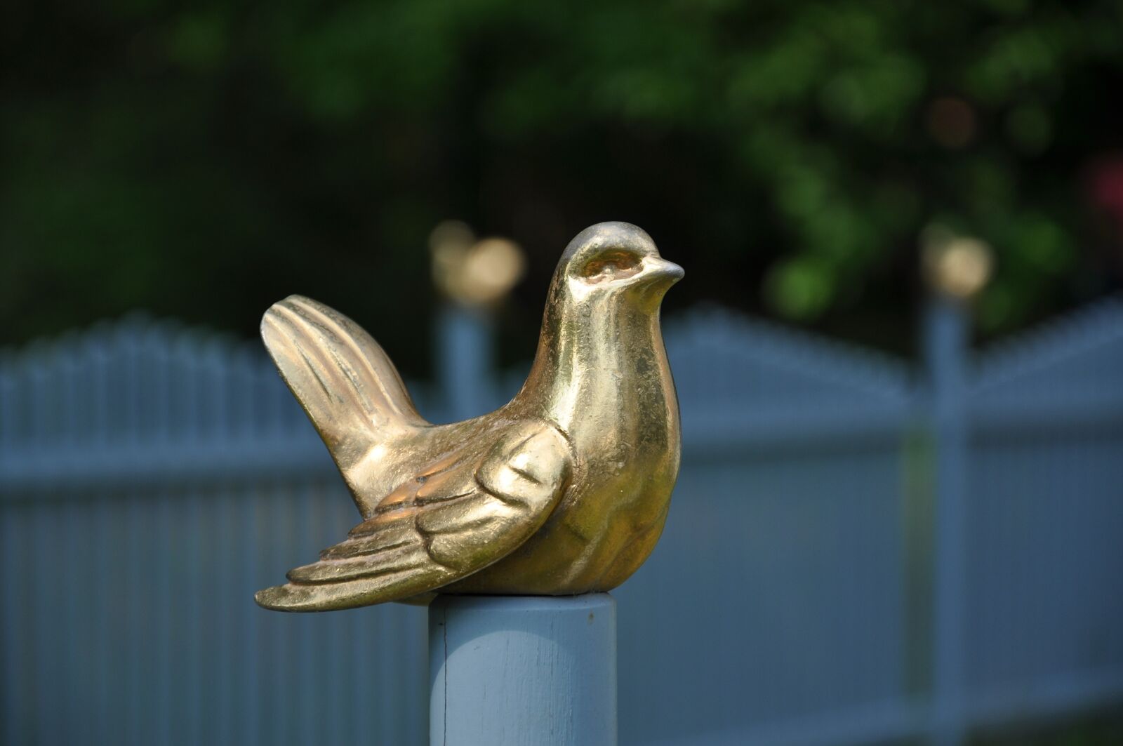 Nikon D5000 sample photo. Fence, wren, castle of photography