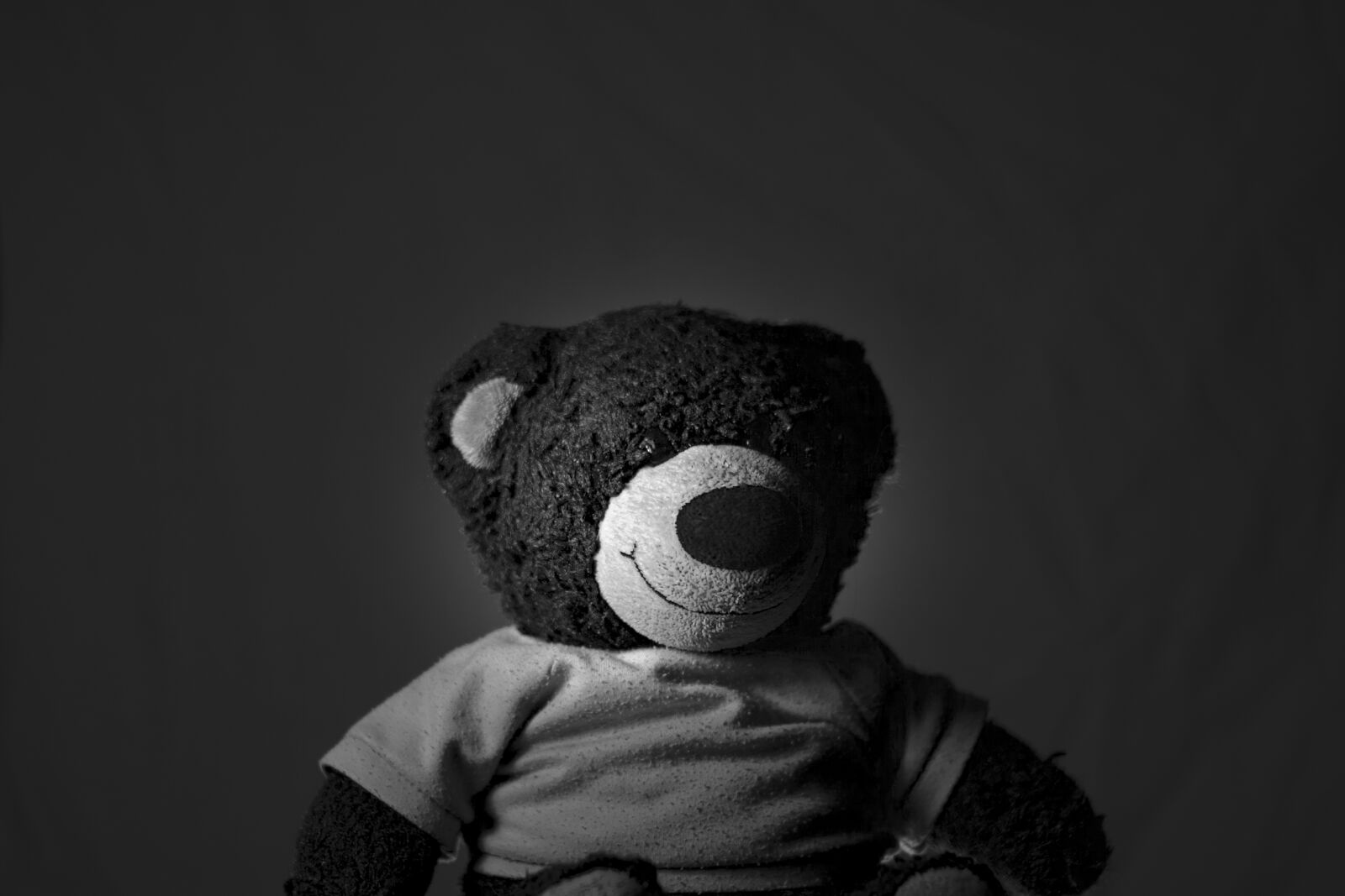Canon EOS 350D (EOS Digital Rebel XT / EOS Kiss Digital N) sample photo. Toy, stuffed, cute photography