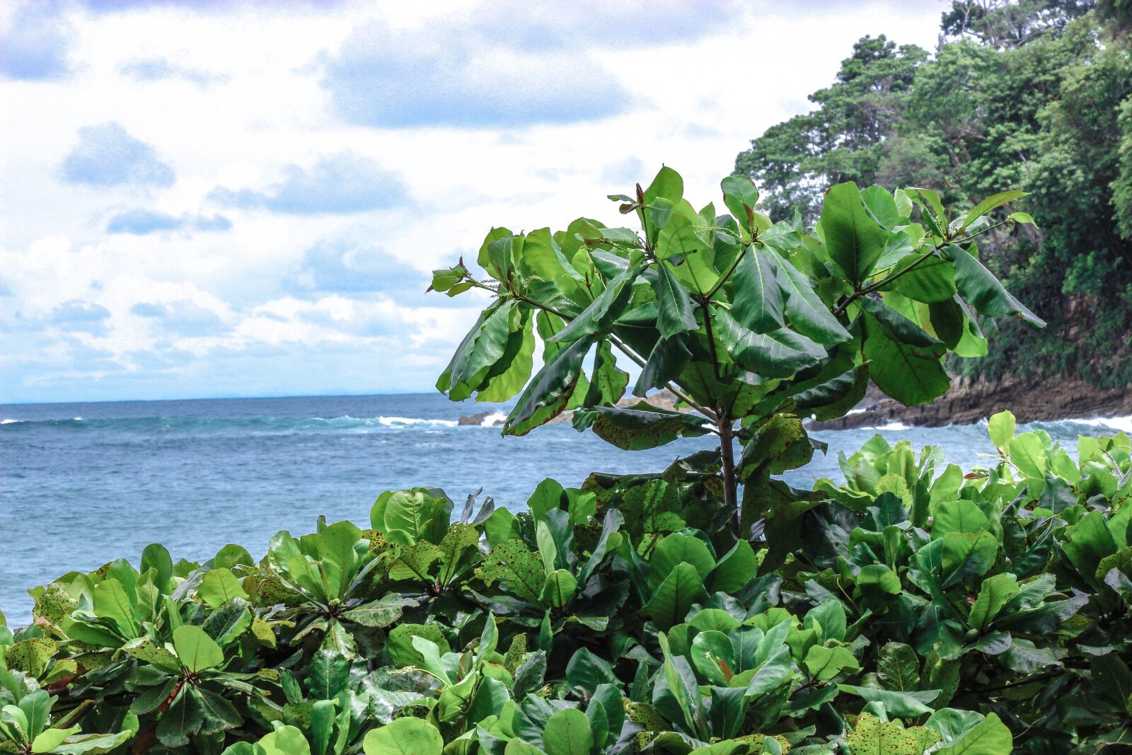 Canon EOS 600D (Rebel EOS T3i / EOS Kiss X5) sample photo. Ocean, sea, rock photography