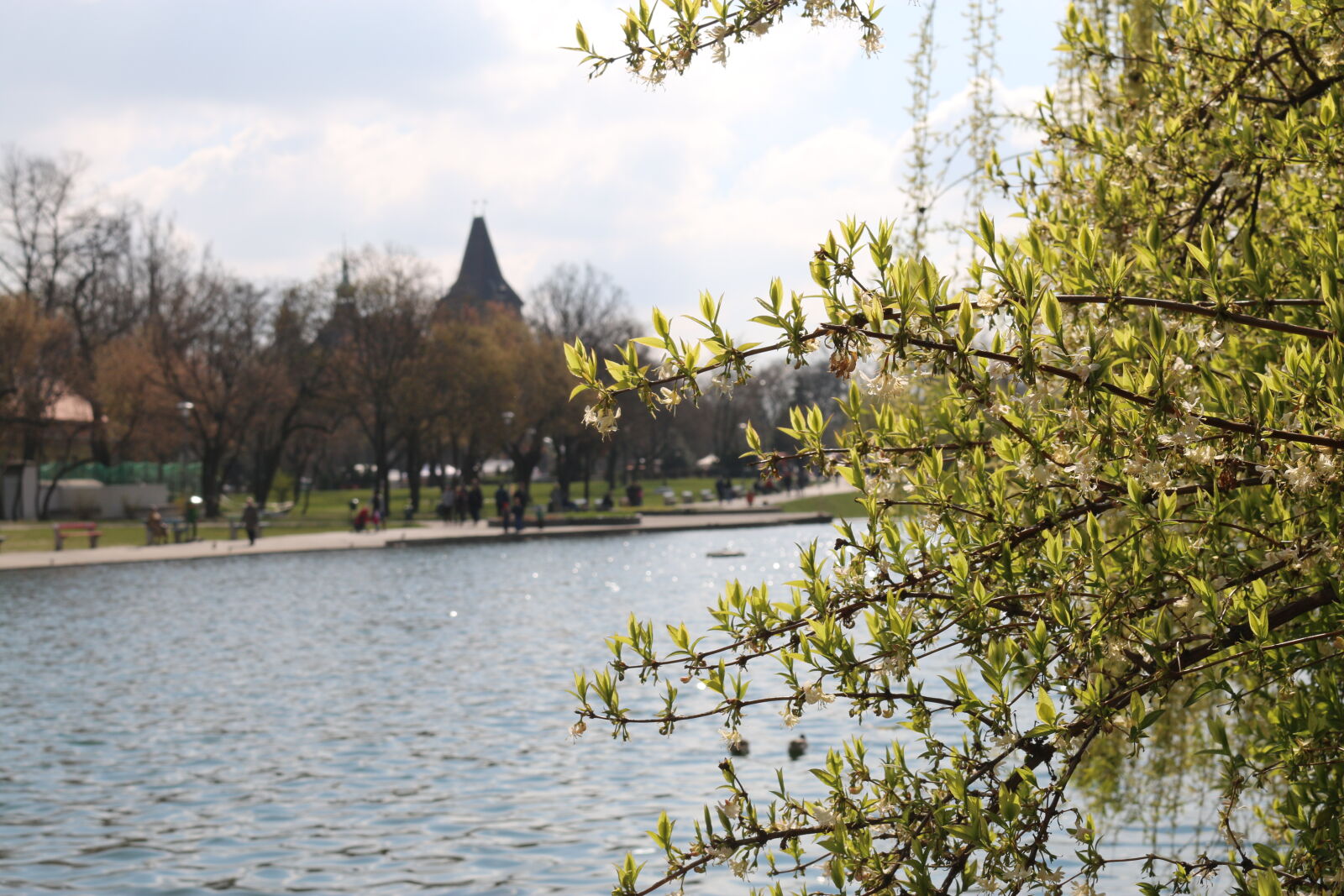 Canon EOS 70D sample photo. Budapest, city, citypark, lake photography