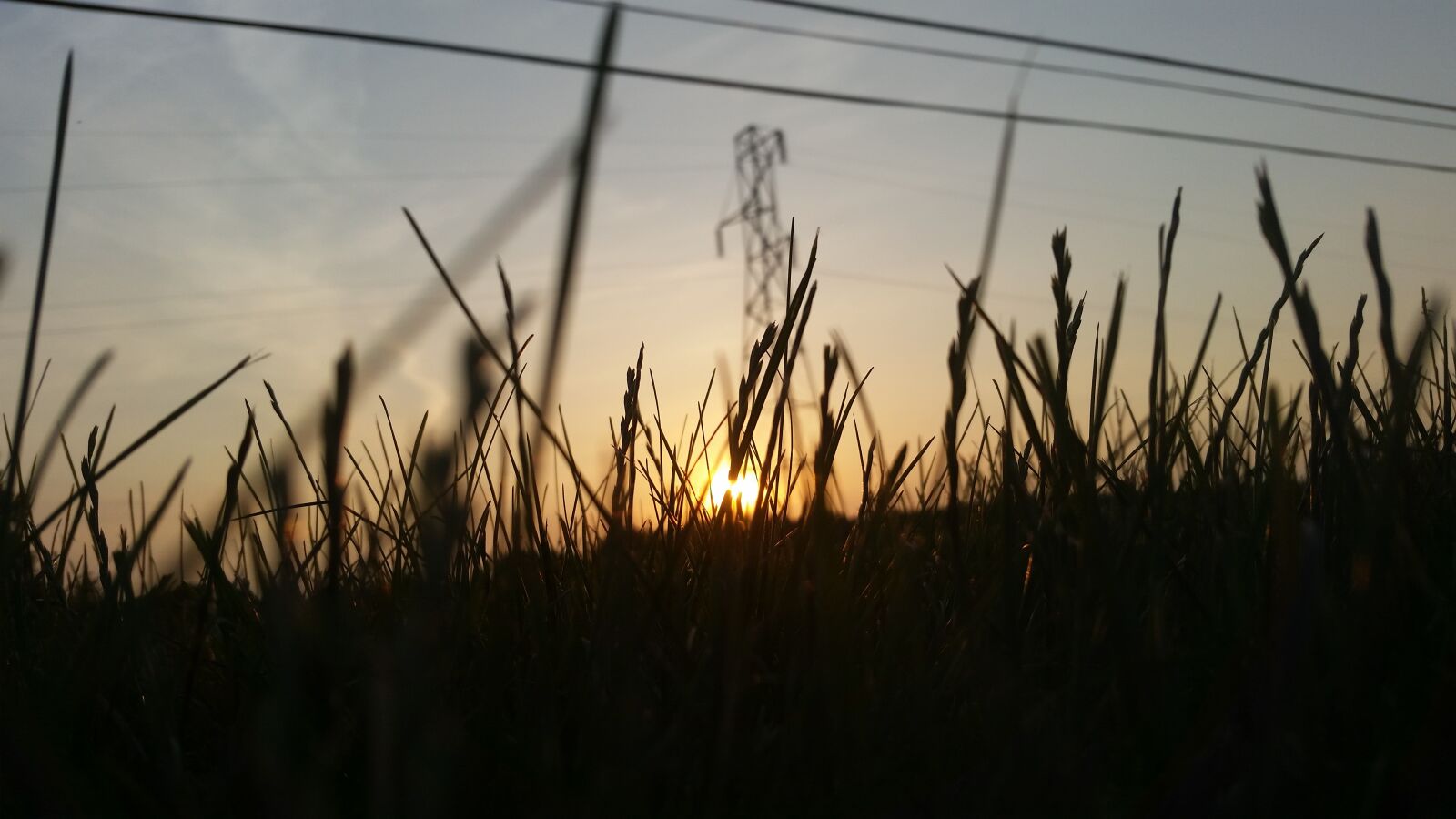 Samsung Galaxy S5 sample photo. Grass, sunset, sky photography