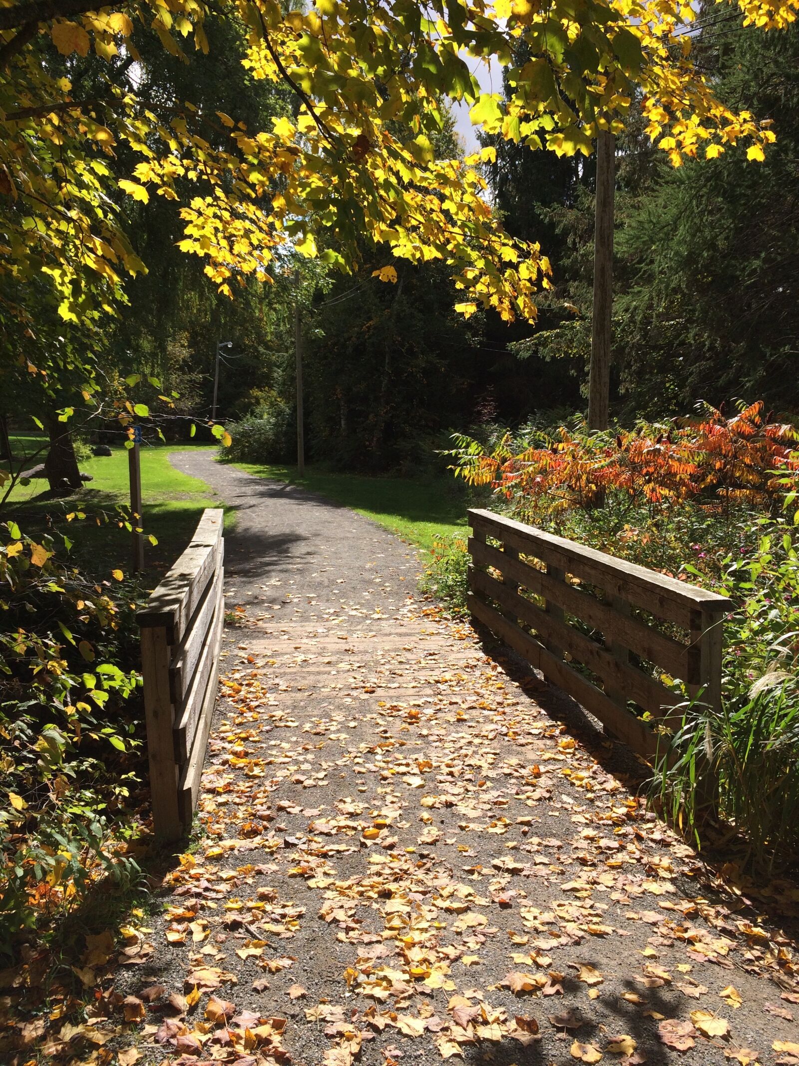 iPhone 5s back camera 4.15mm f/2.2 sample photo. Fall, qu bec, autumn photography
