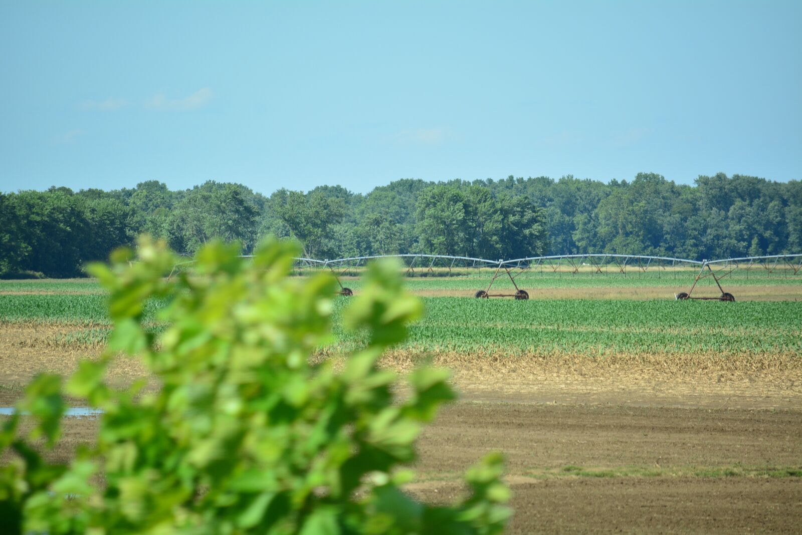 Nikon D5200 sample photo. Farmland, farm, agriculture photography