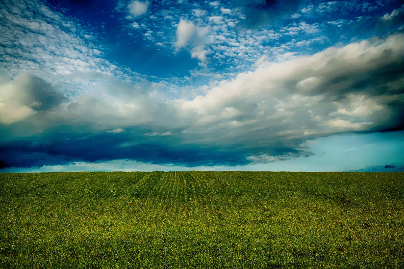 Canon EOS 5D Mark II sample photo. Field, sky, countryside photography