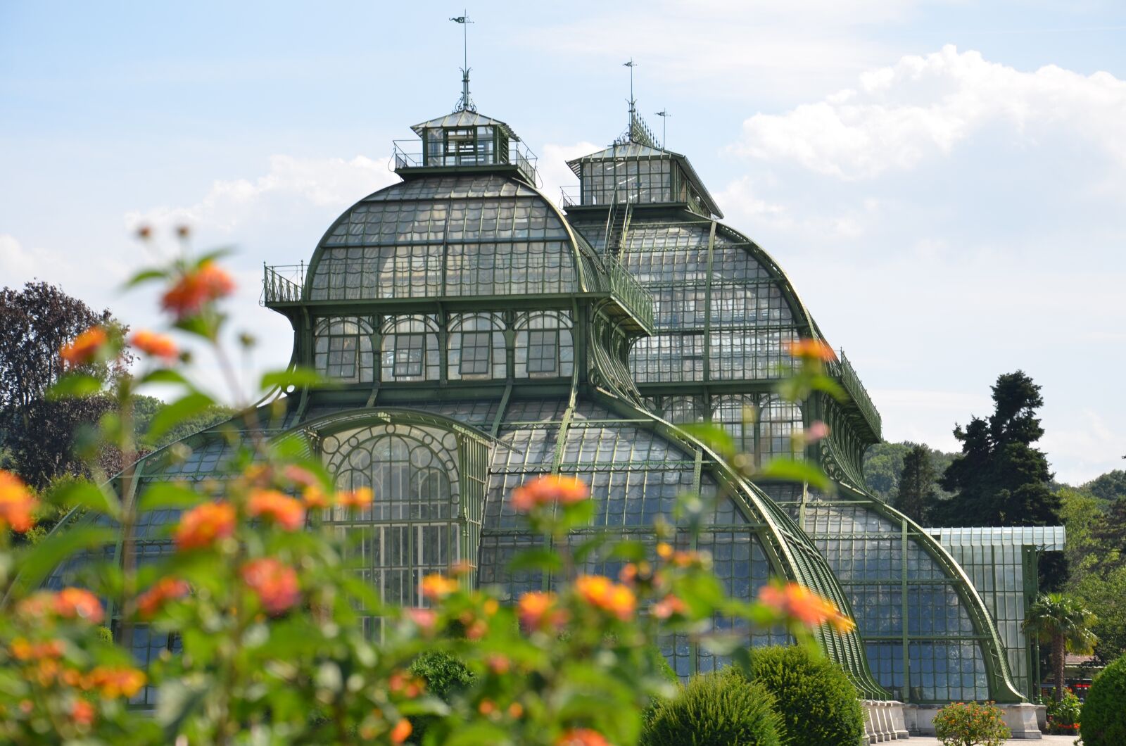 Nikon D7000 sample photo. Nature, greenhouse, flowers photography