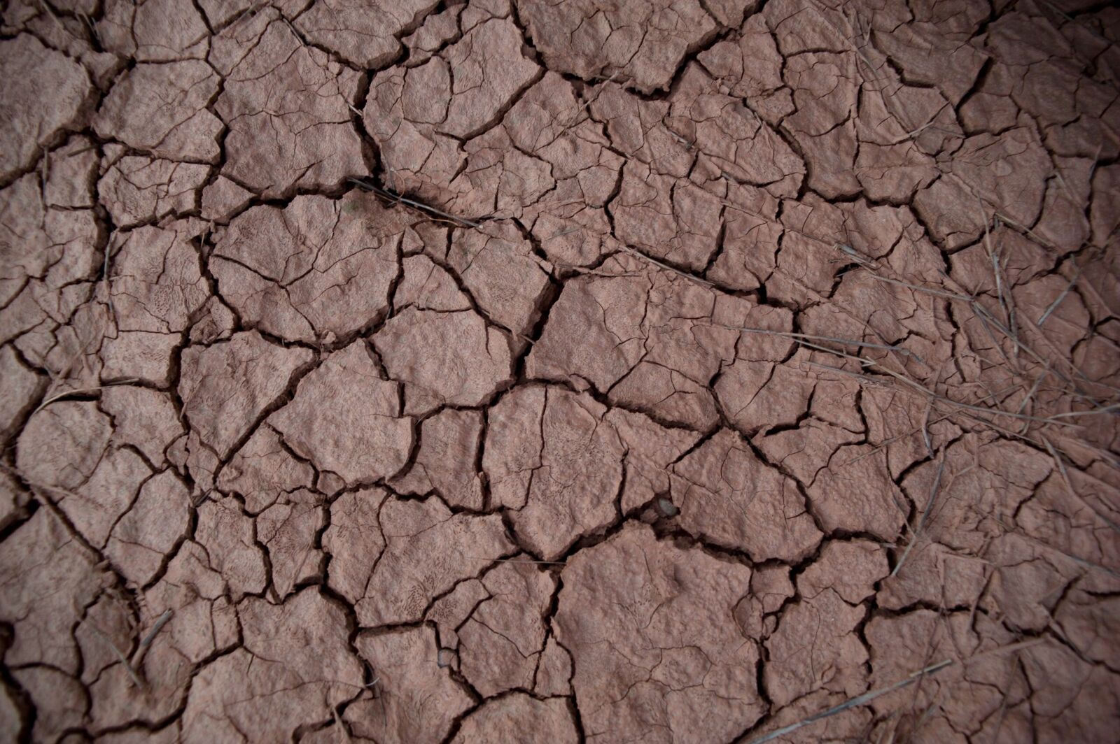 Nikon D700 sample photo. Drought, earth, desert photography