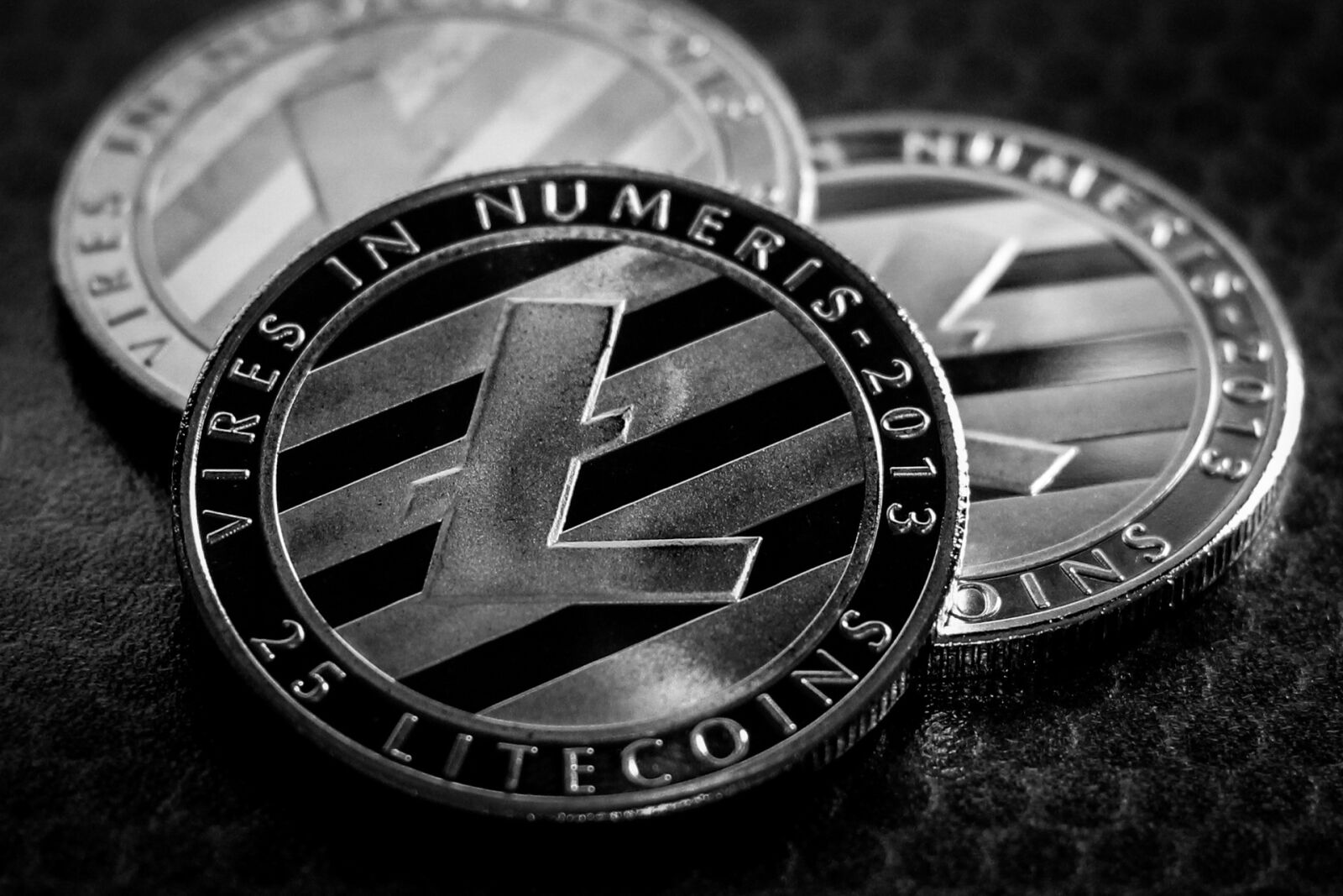 Canon EOS 700D (EOS Rebel T5i / EOS Kiss X7i) + Canon EF 50mm F1.8 STM sample photo. Litecoin, business, finance photography