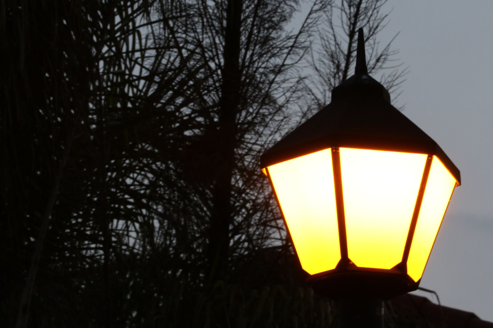 Canon EOS 7D Mark II sample photo. Bright, evening, glow, light photography