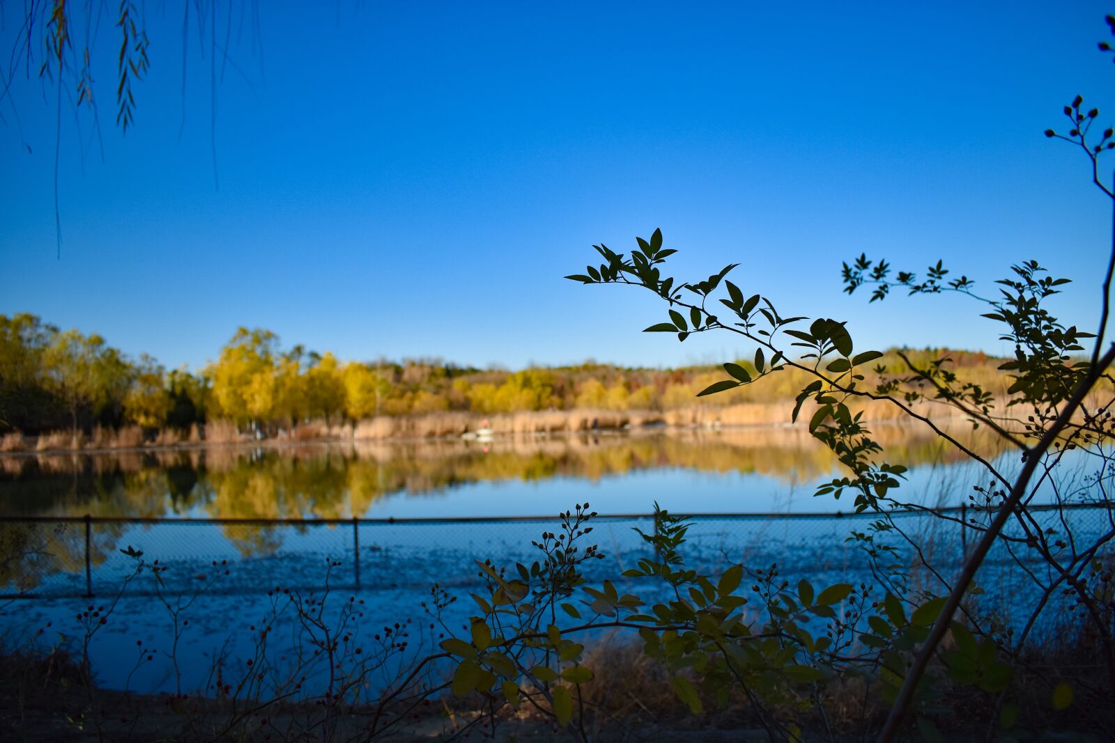 Nikon D3400 sample photo. Lake, autumn, blue sky photography