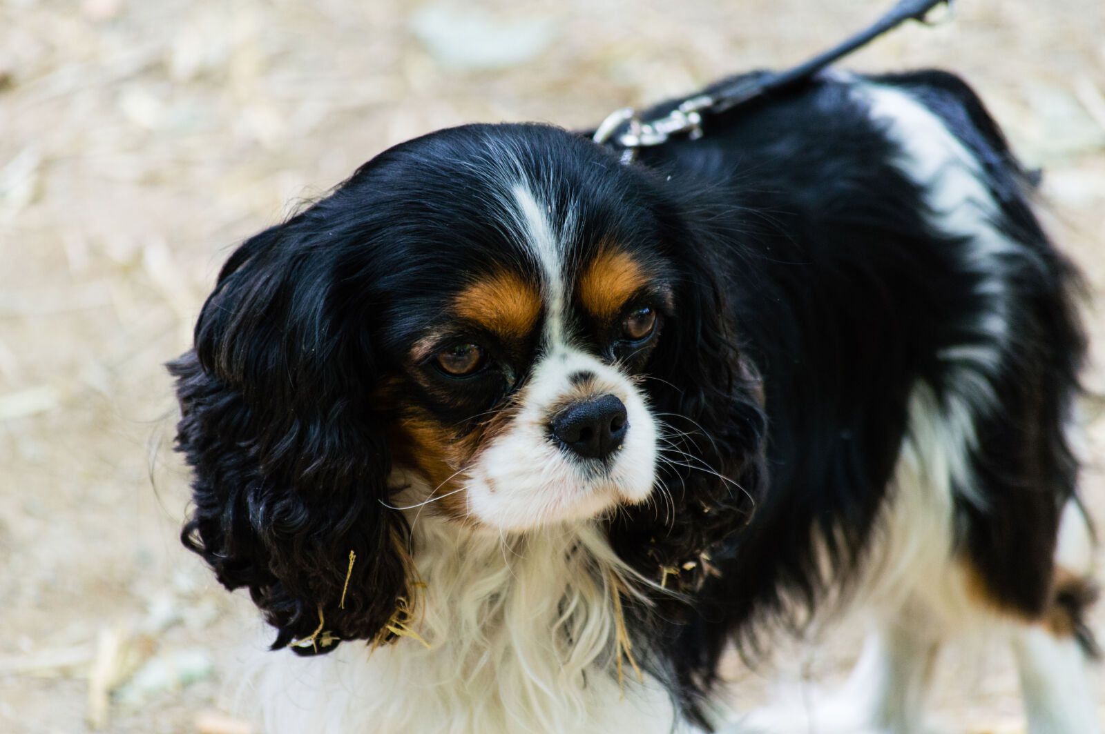 Nikon D3200 sample photo
