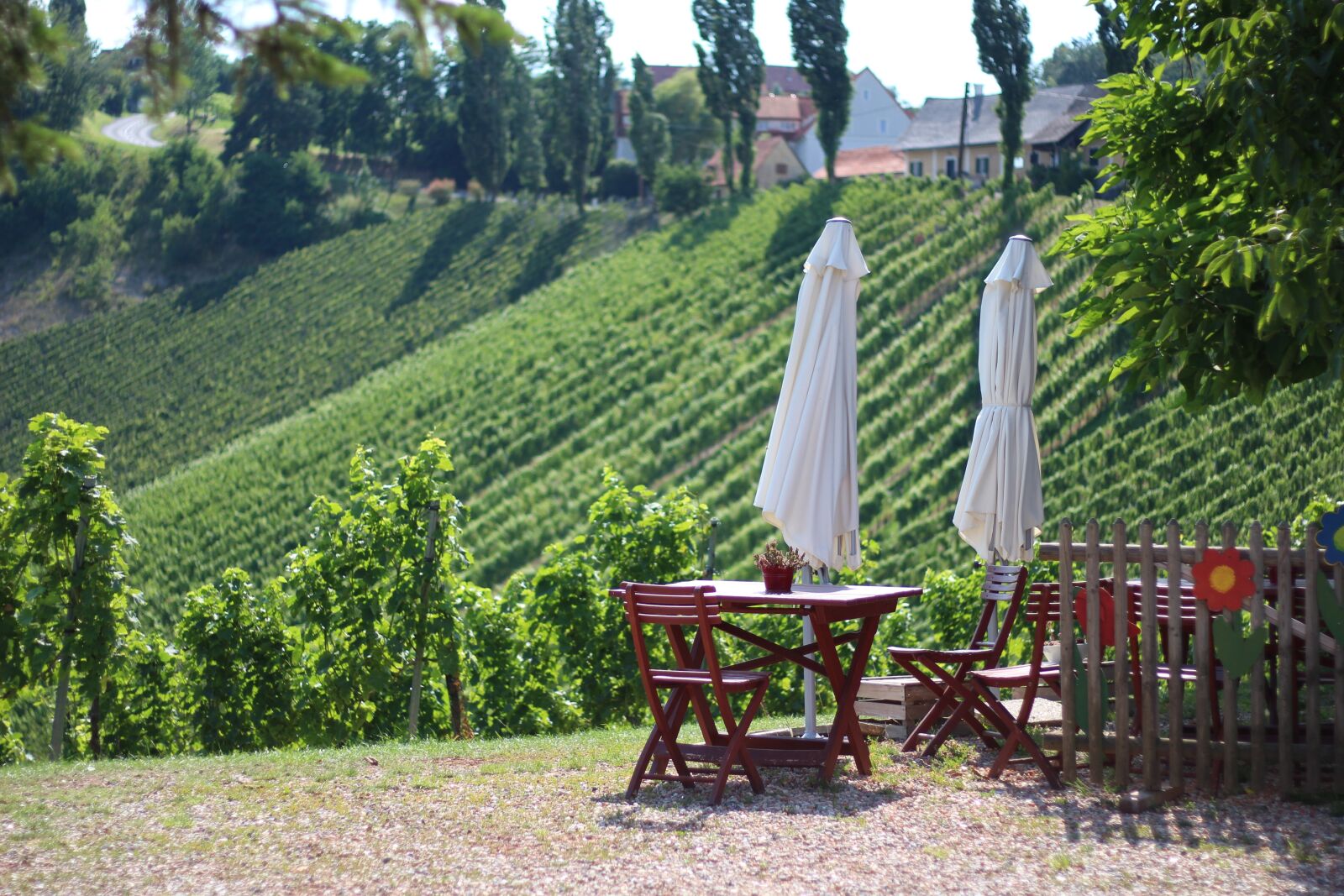 Canon EOS 700D (EOS Rebel T5i / EOS Kiss X7i) + Canon EF 50mm F1.8 STM sample photo. Wine road, austria, southern photography