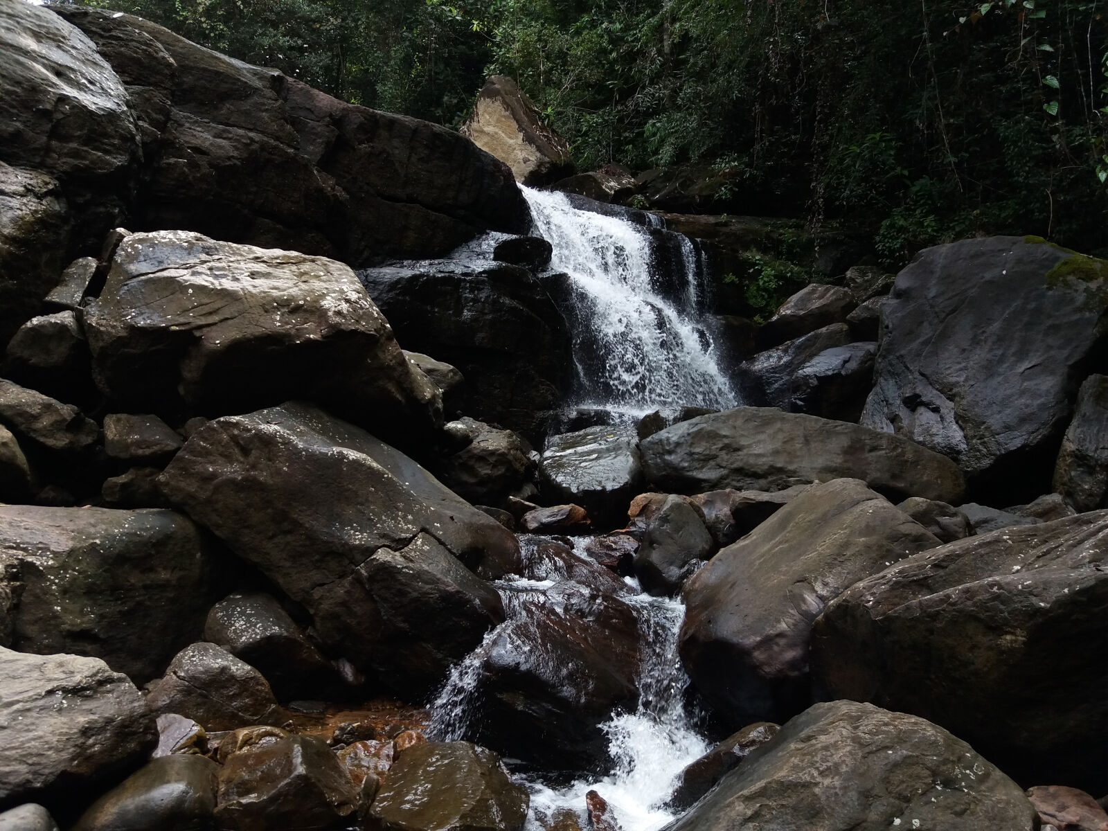 Samsung Galaxy J5(2016) sample photo. Beautiful, dark, flow, forest photography