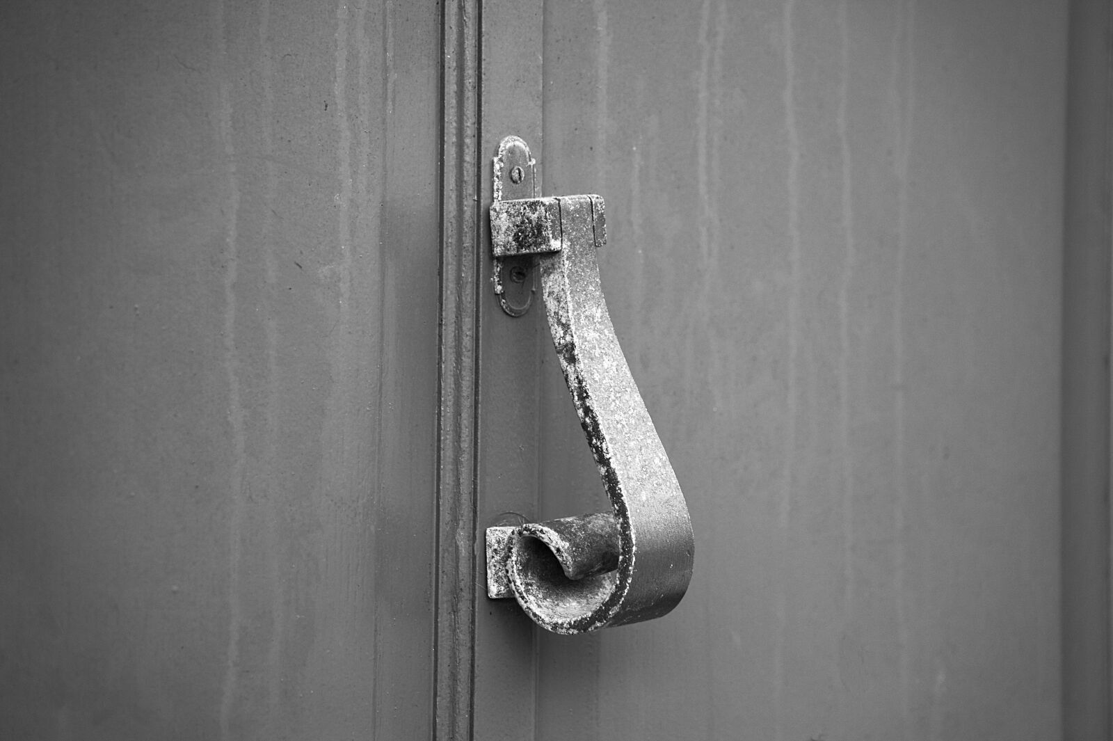 Nikon D5200 sample photo. Knocker, door, metal photography