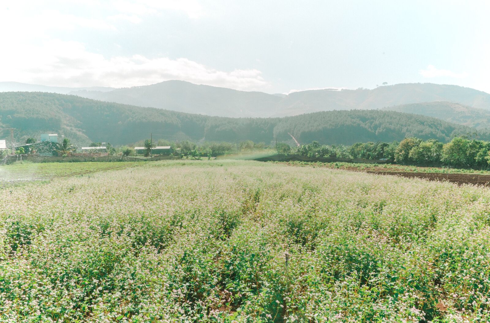 Nikon D700 sample photo. Landscape, travel, cute photography