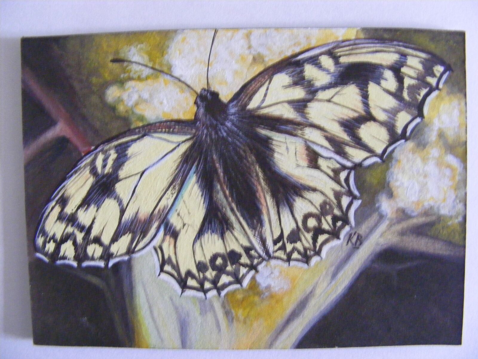 Fujifilm FinePix S5800 S800 sample photo. Butterflies, gouache, 4 x 3 photography